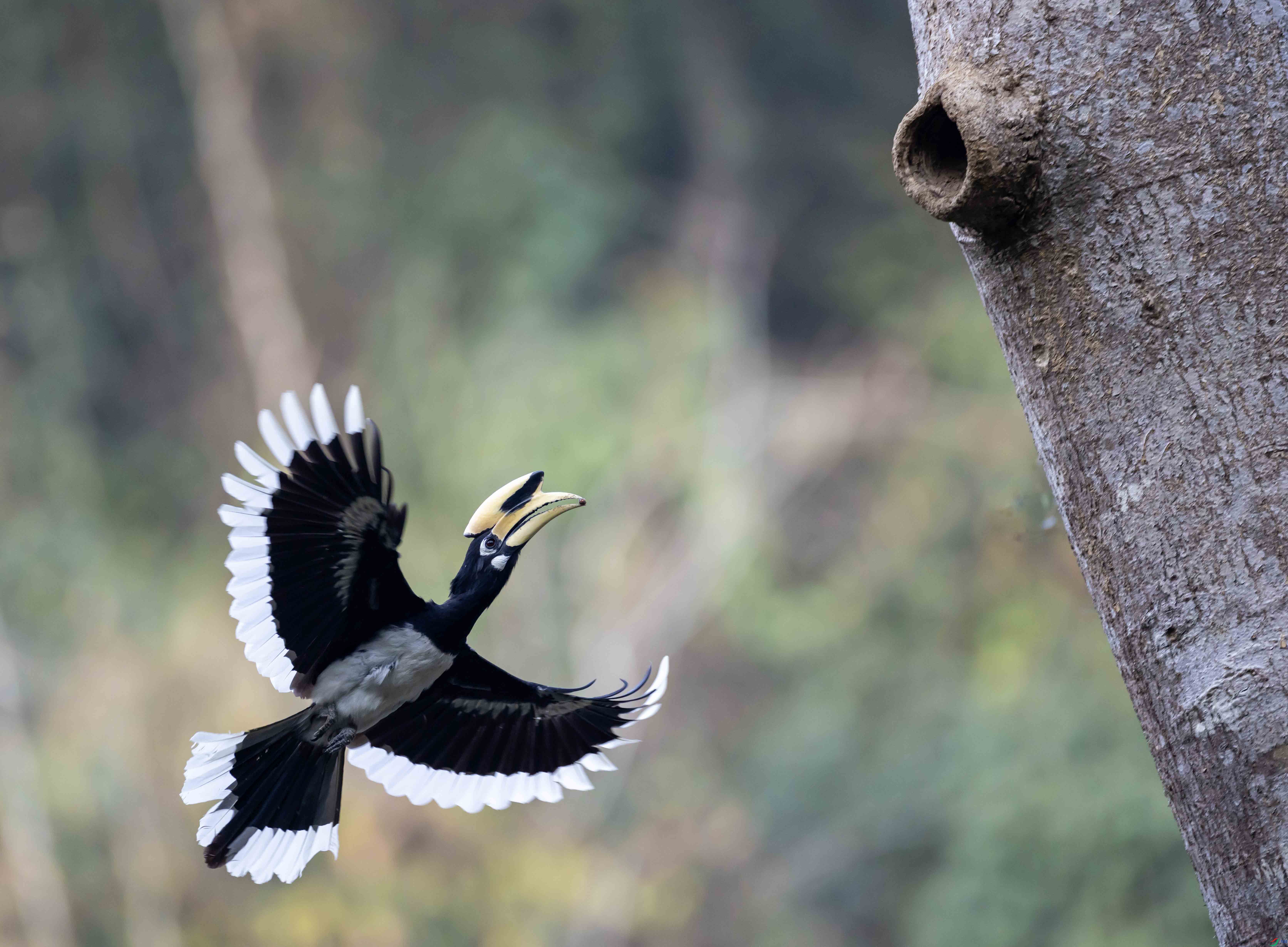 �ڰ�Ϭ���Ͳ�