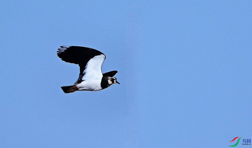 DSC_2778.JPG