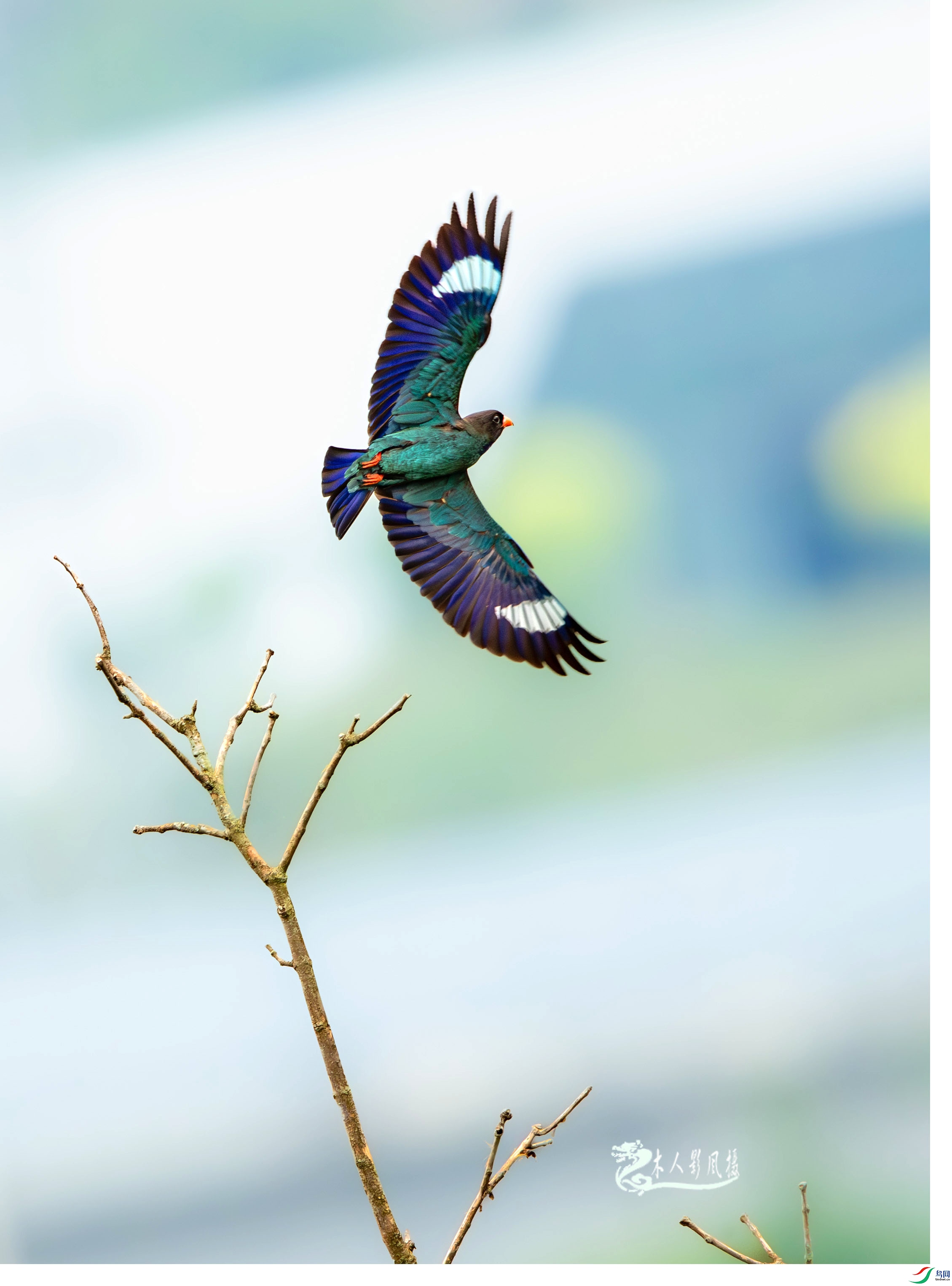 L25_2515 ����.jpg