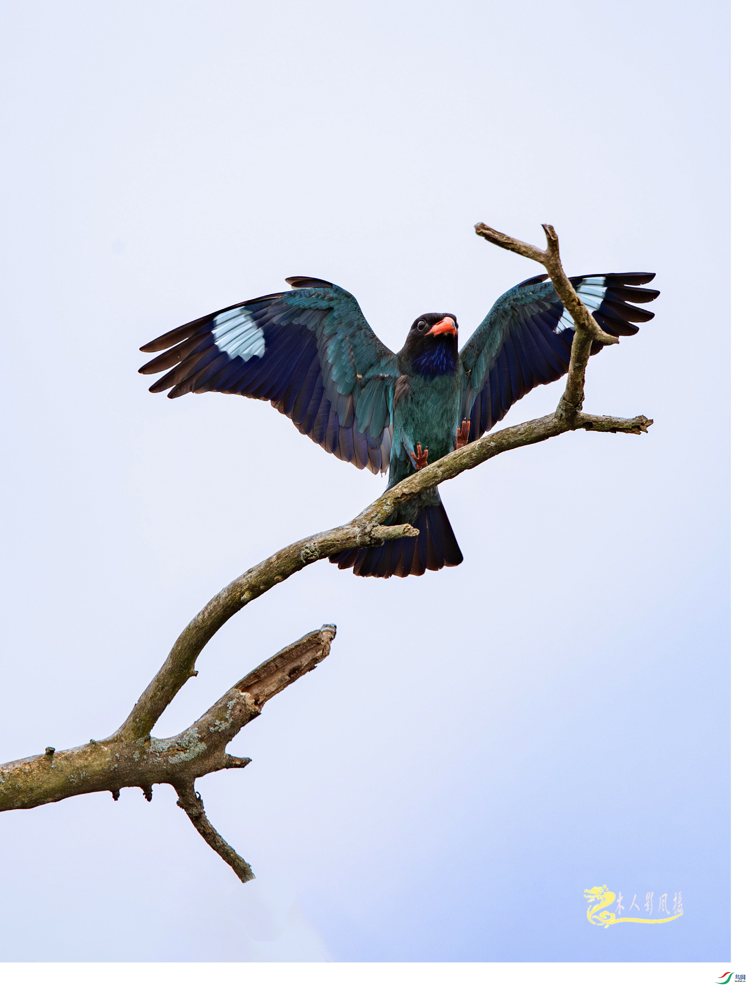 L25_6824���� ����.jpg