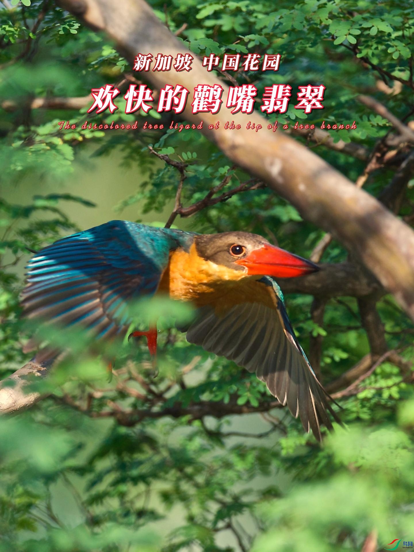 �¼��� �й���԰ ������������-����.jpg