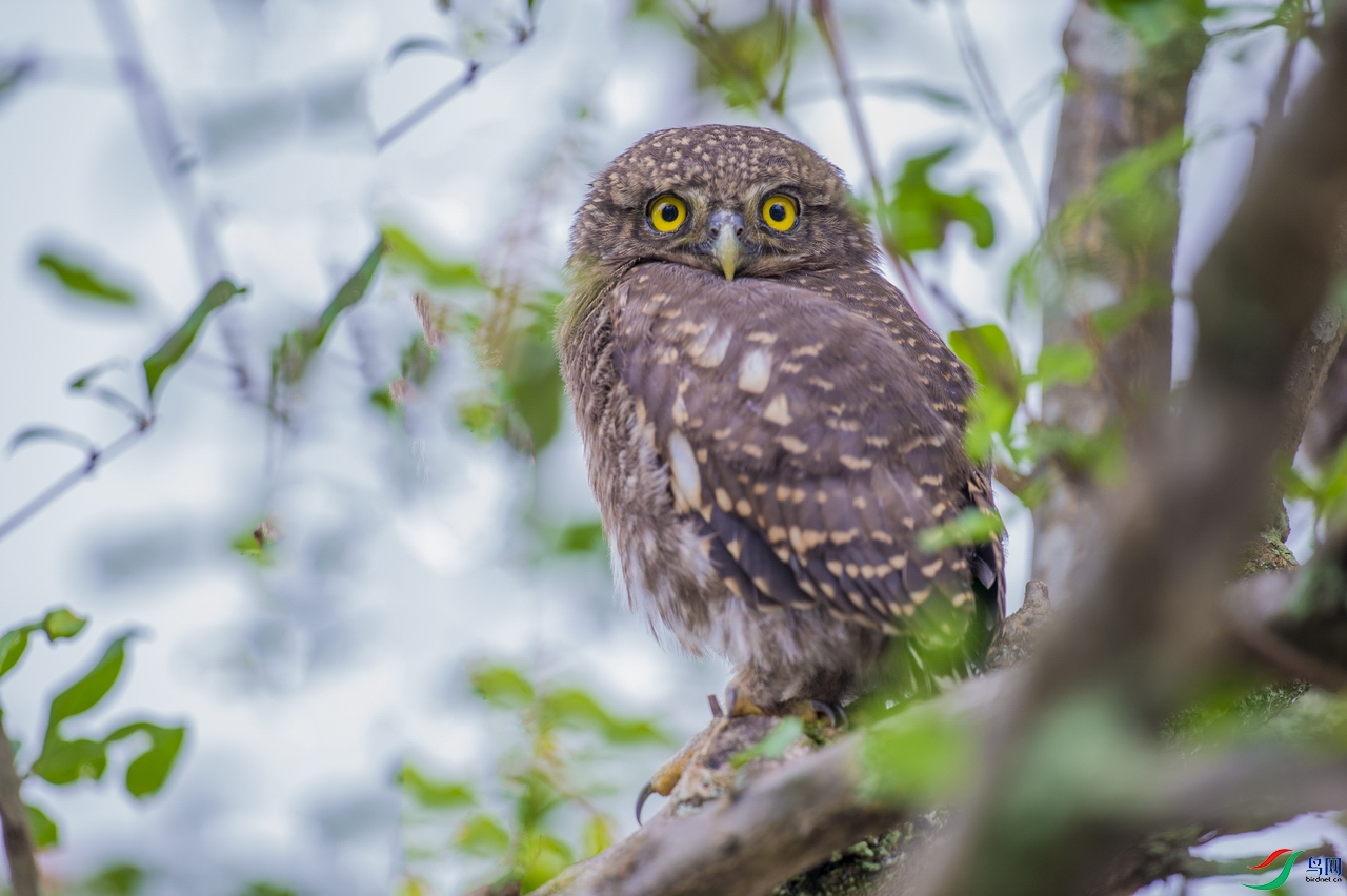 DSC_6626.jpg