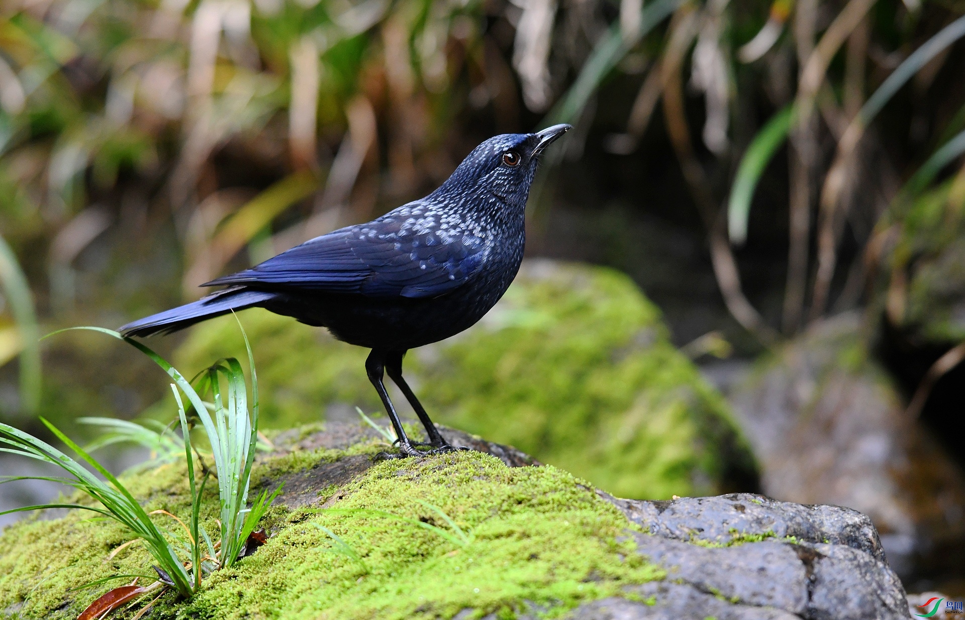 DSC_1047.jpg