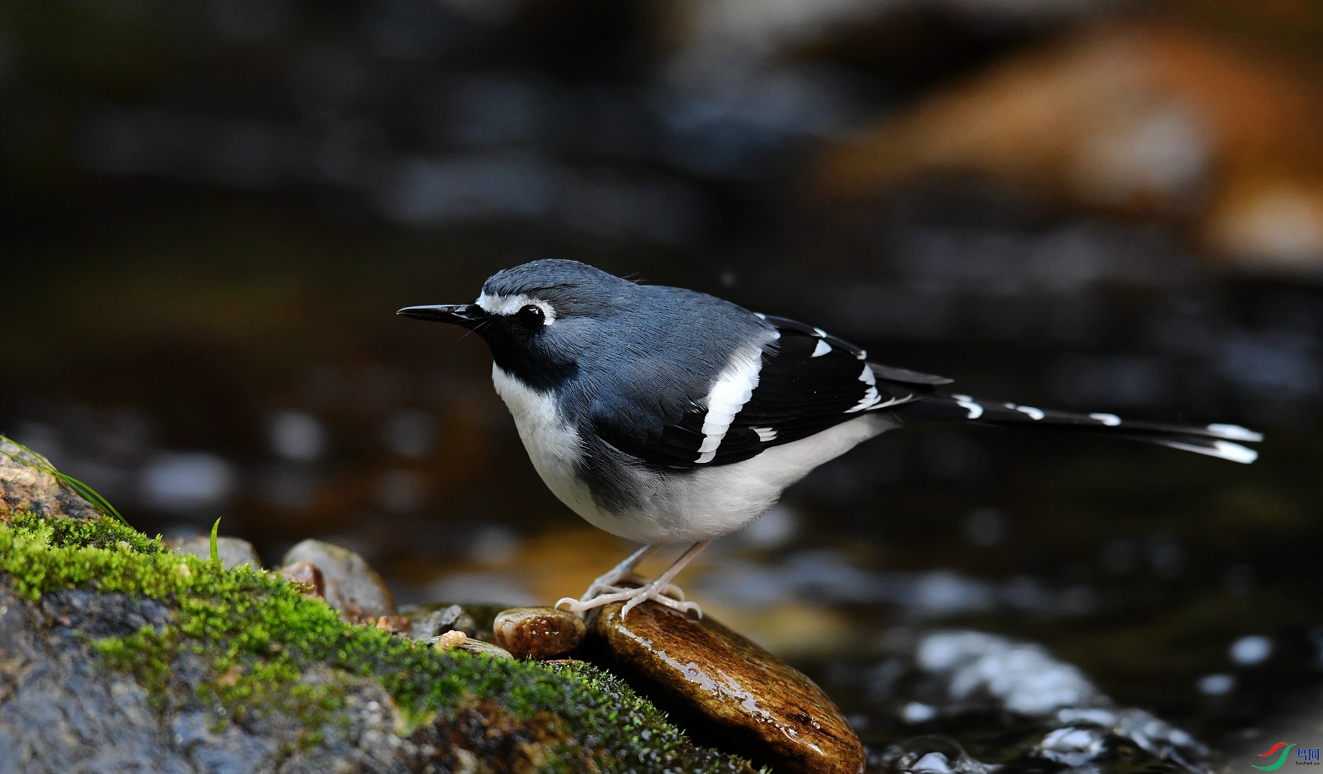 DSC_1428.jpg