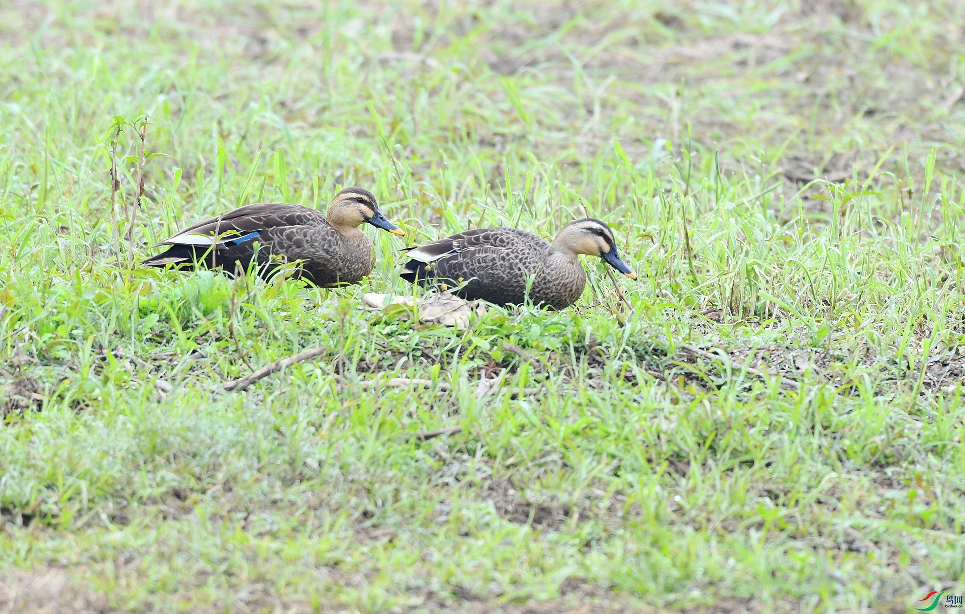 DSC_6998.jpg