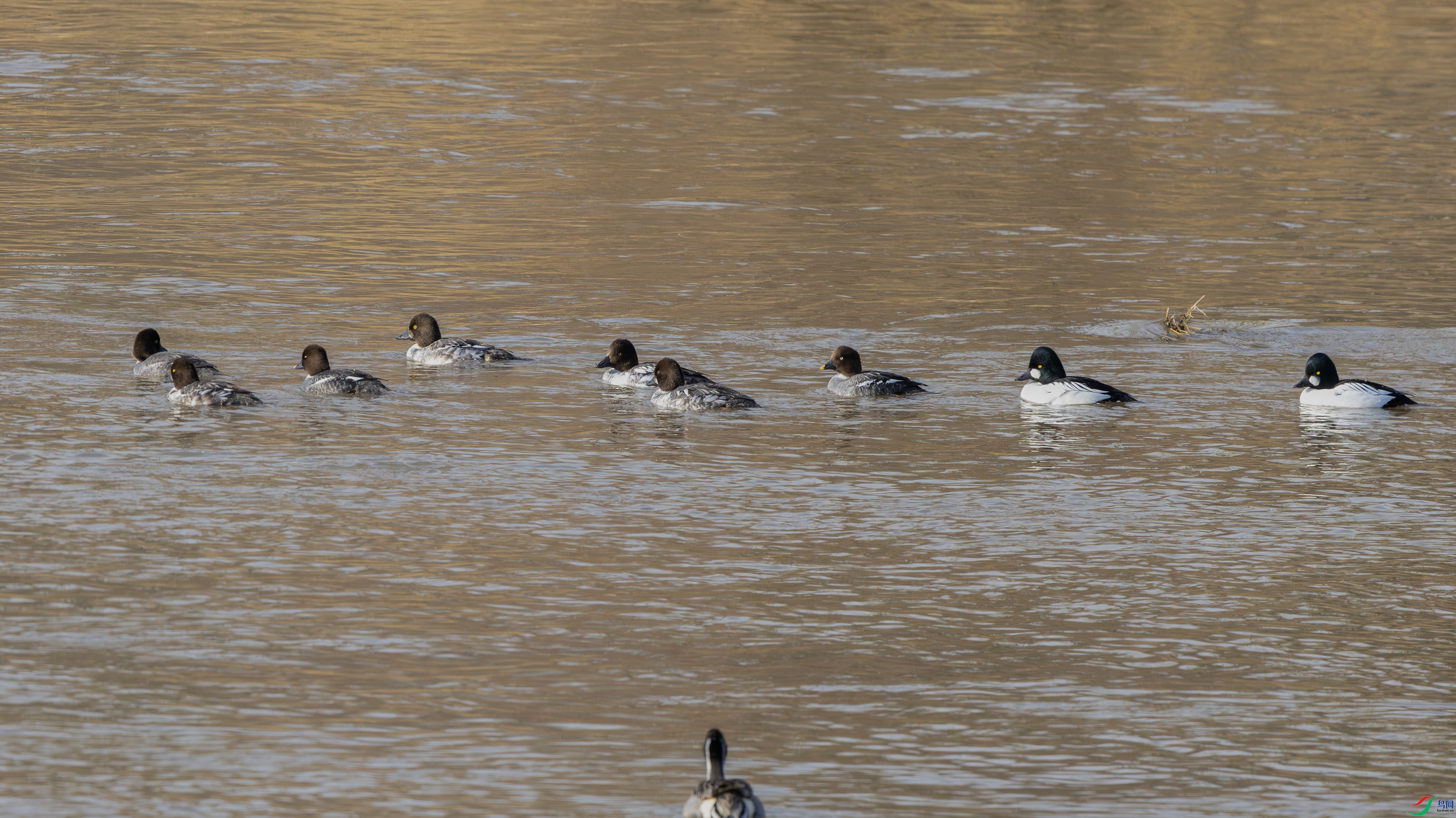 7X5A2791 ����.jpg