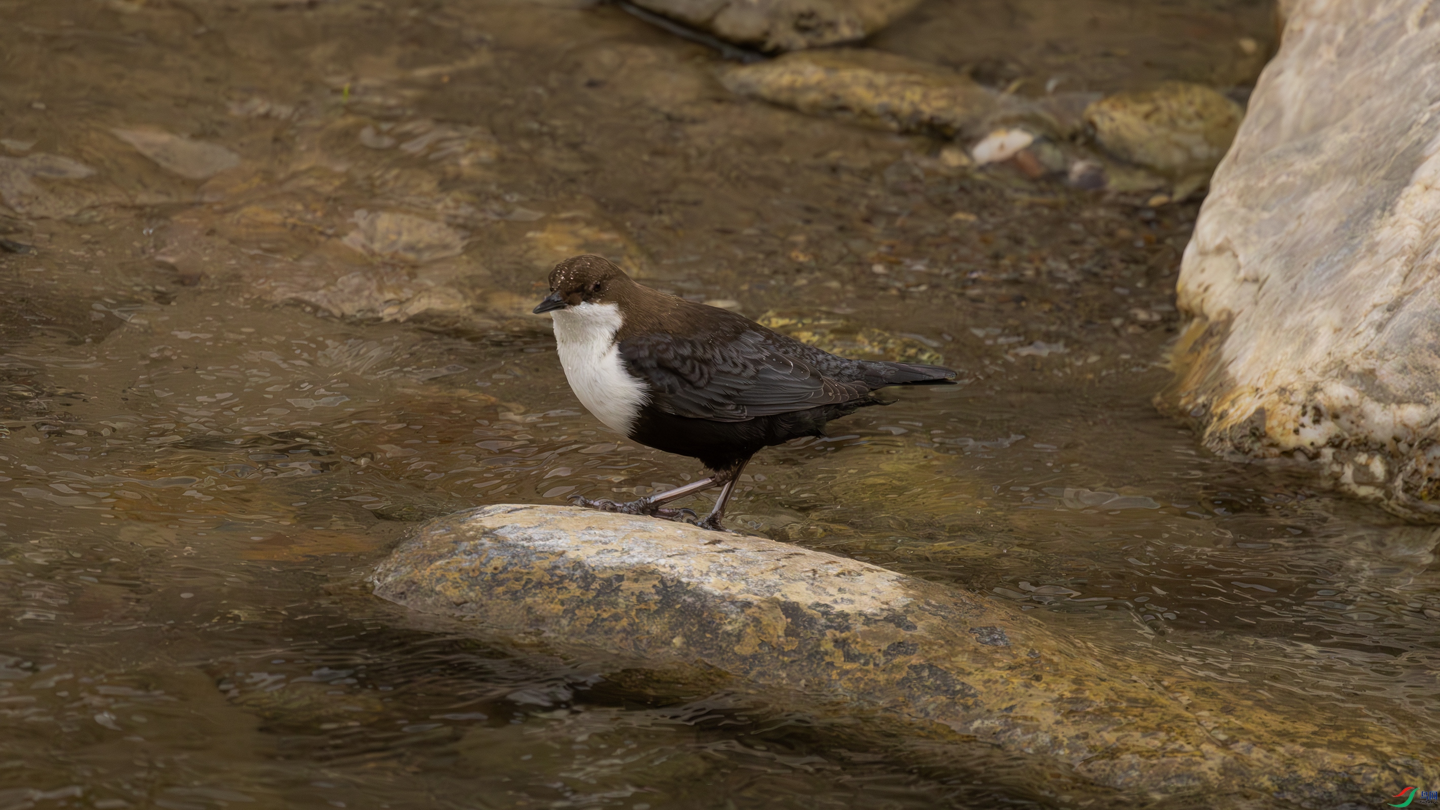 7X5A9938 ��444.jpg