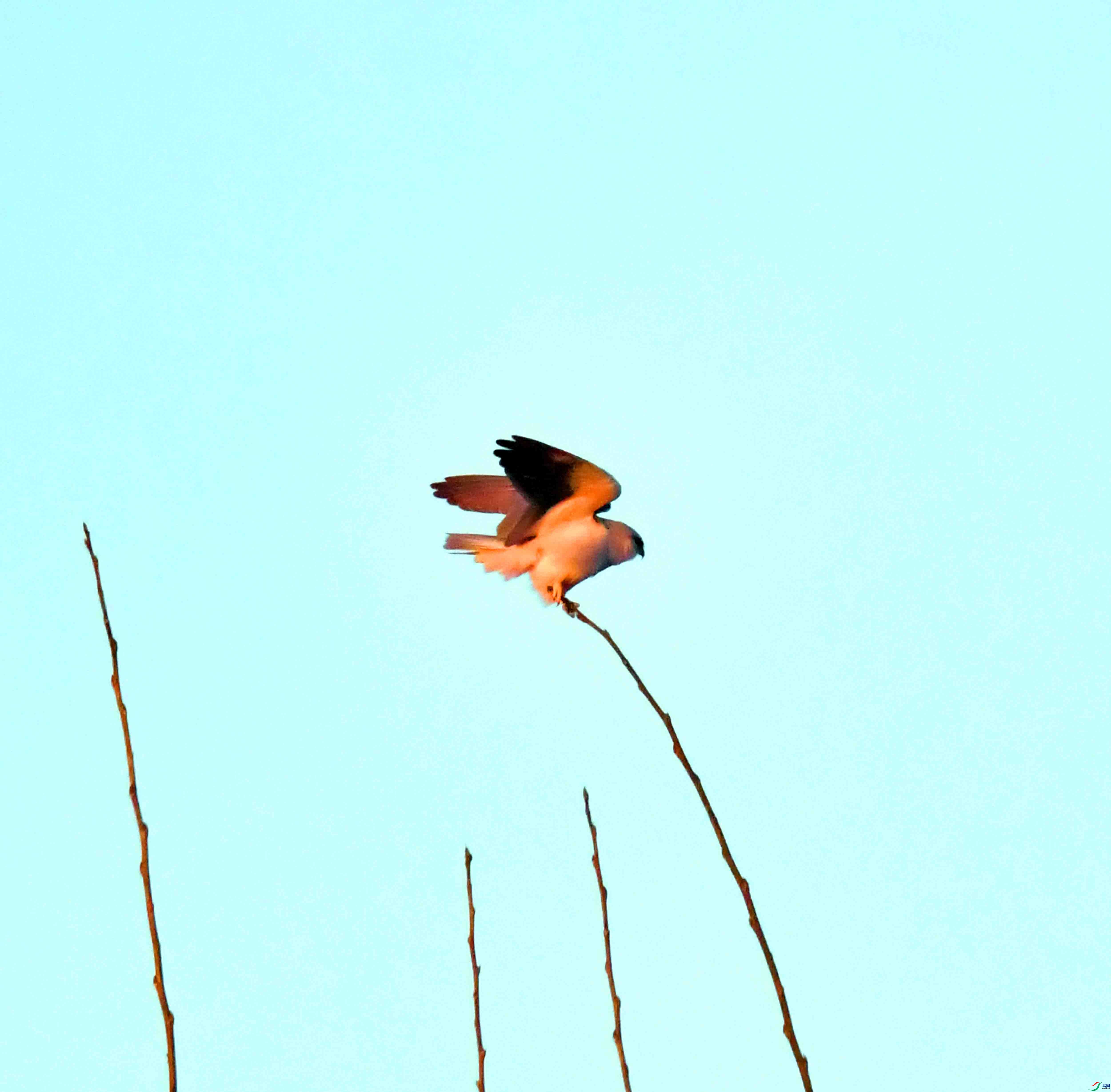 DSC_1056.JPG