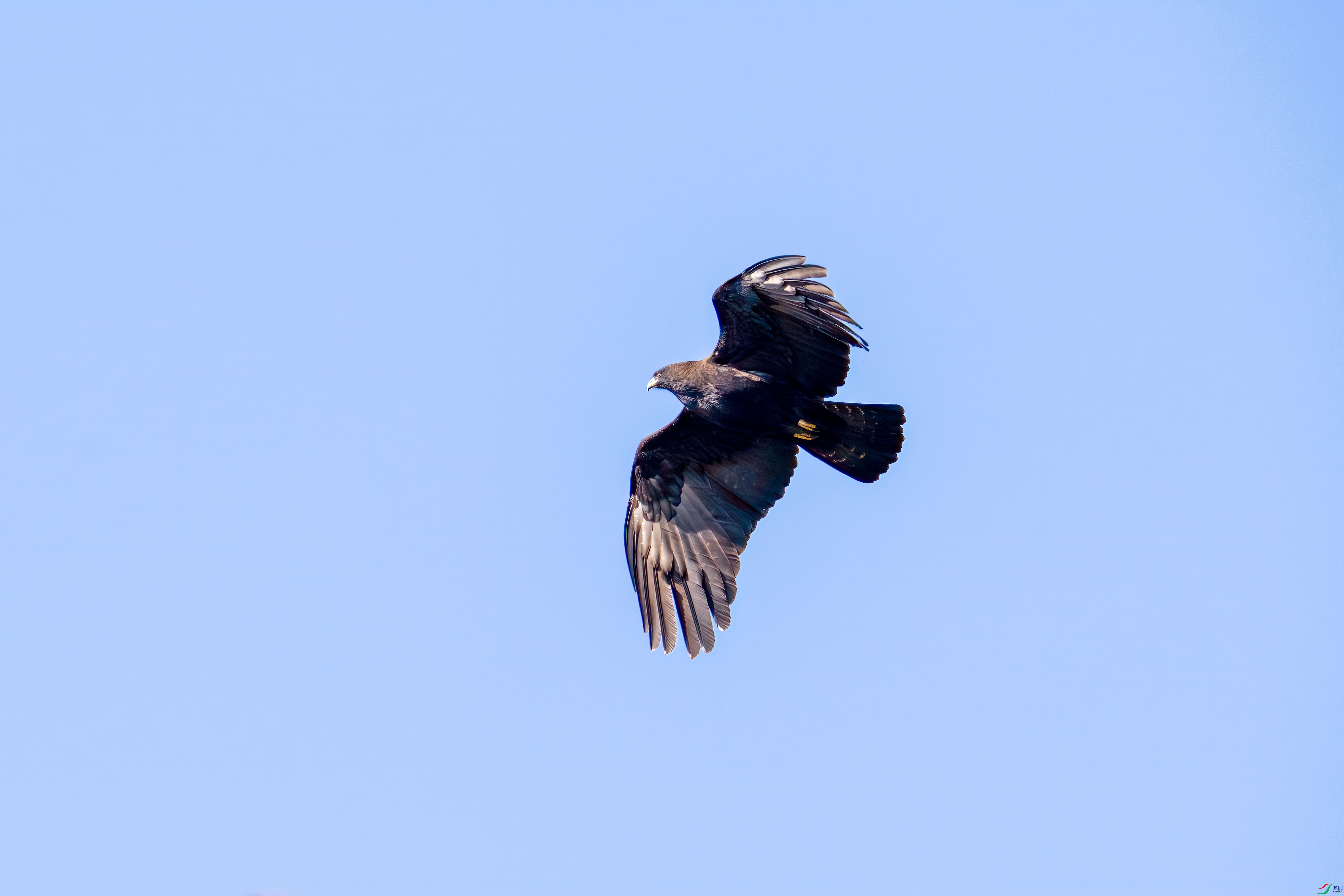 _DSC3355.jpg