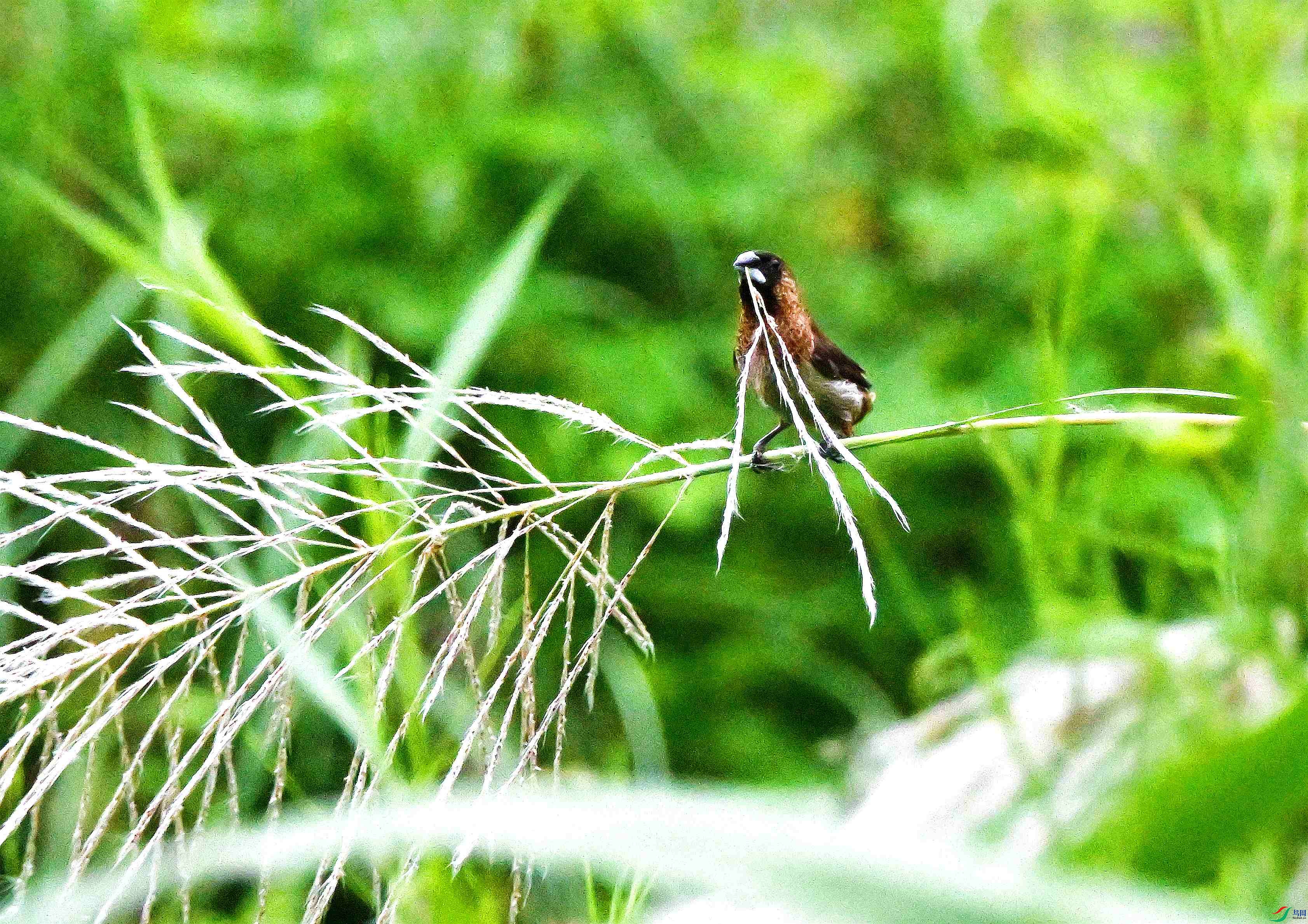 DSC_0852.JPG