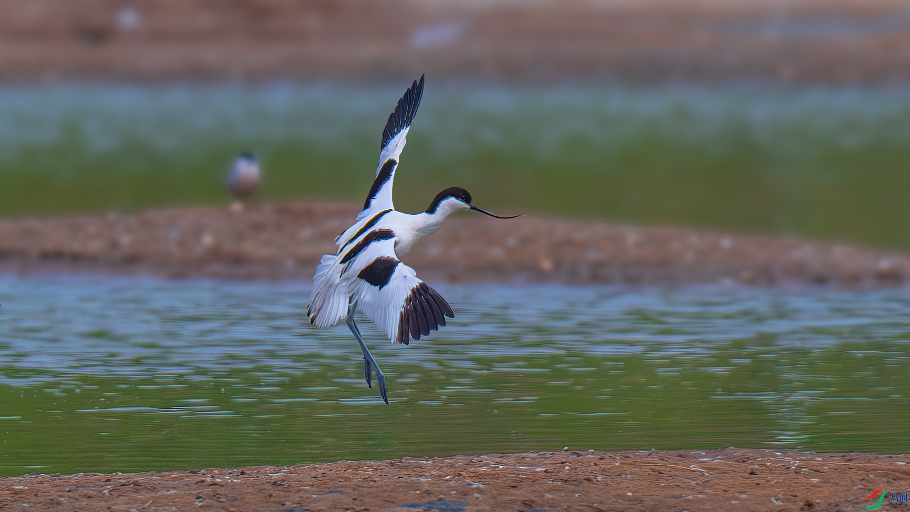 DSC_4685-����ǿ-NR.jpg