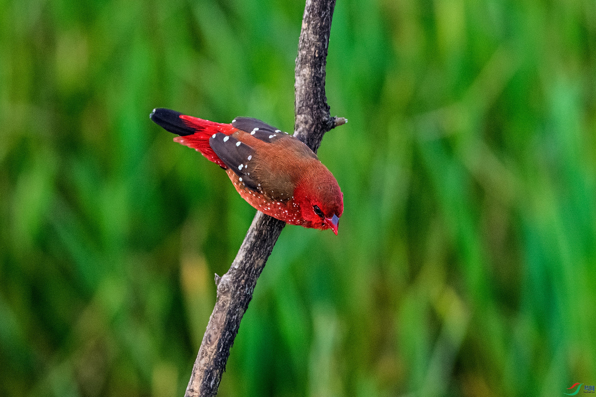 _AUU6746 ��÷��ȸ(25.7.7).jpg