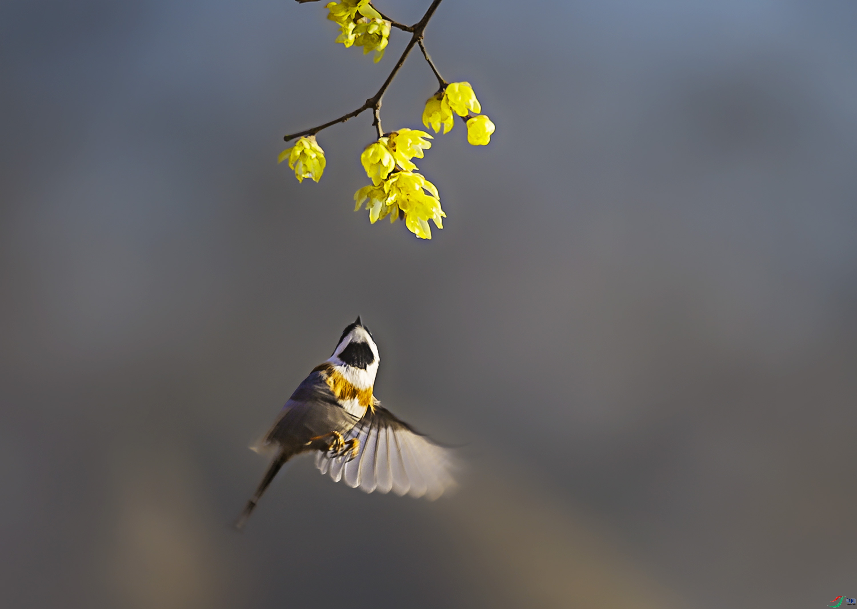 278A8693-6.jpg