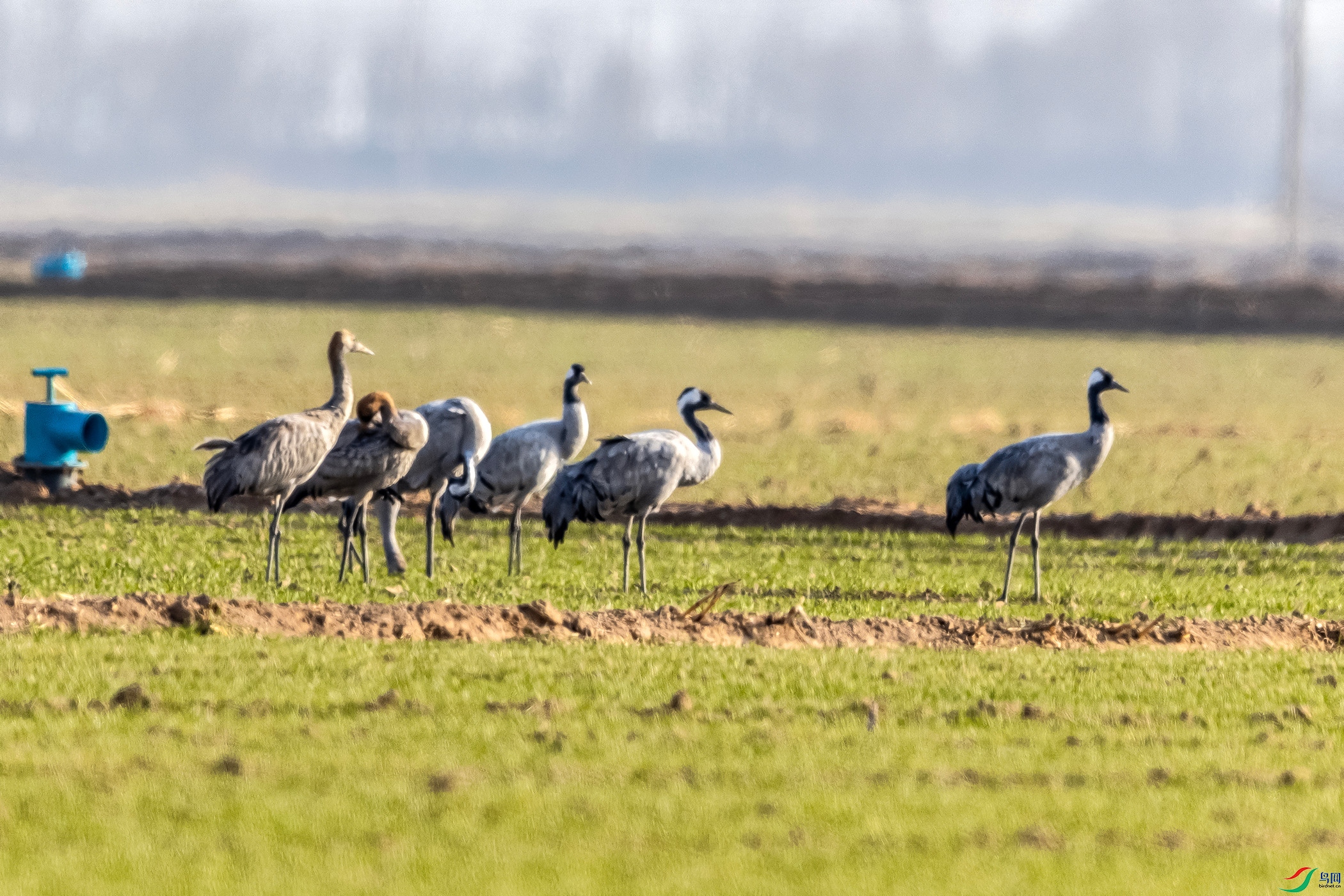 IMG_3283 ����.jpg