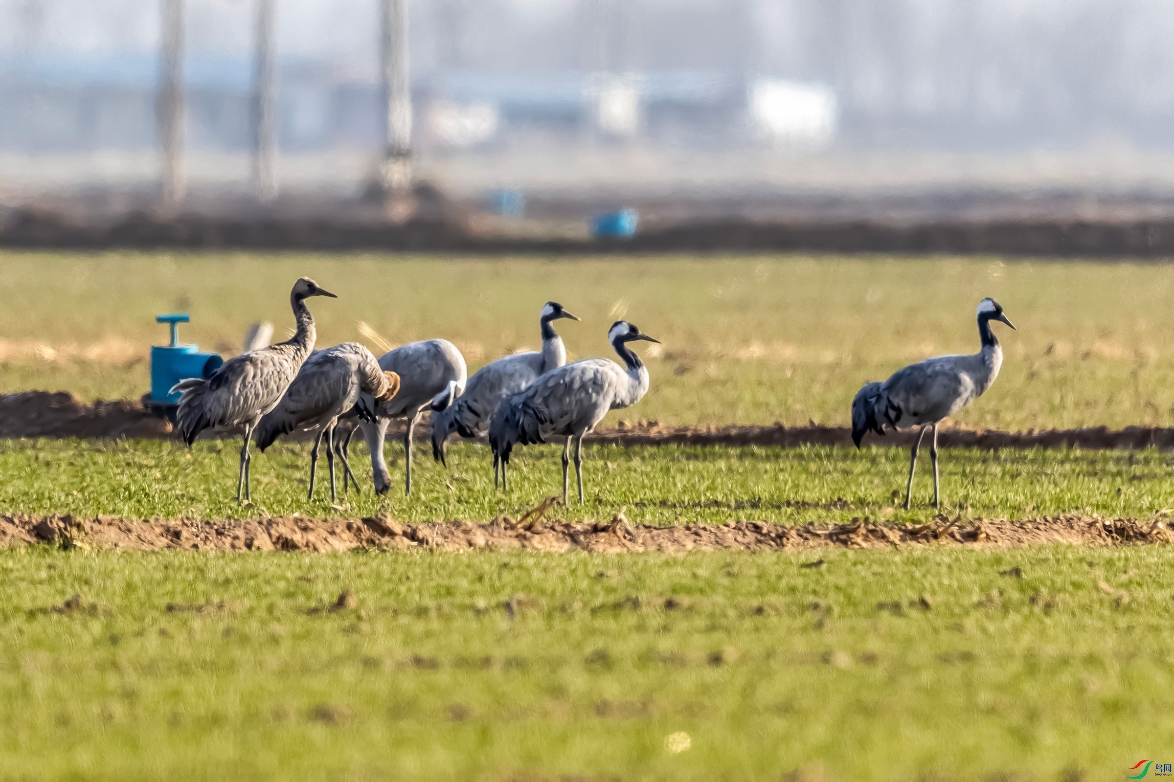 IMG_3272 ����.jpg