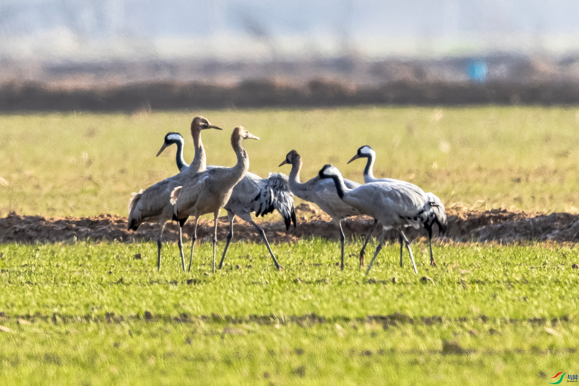 IMG_3315 ����.jpg