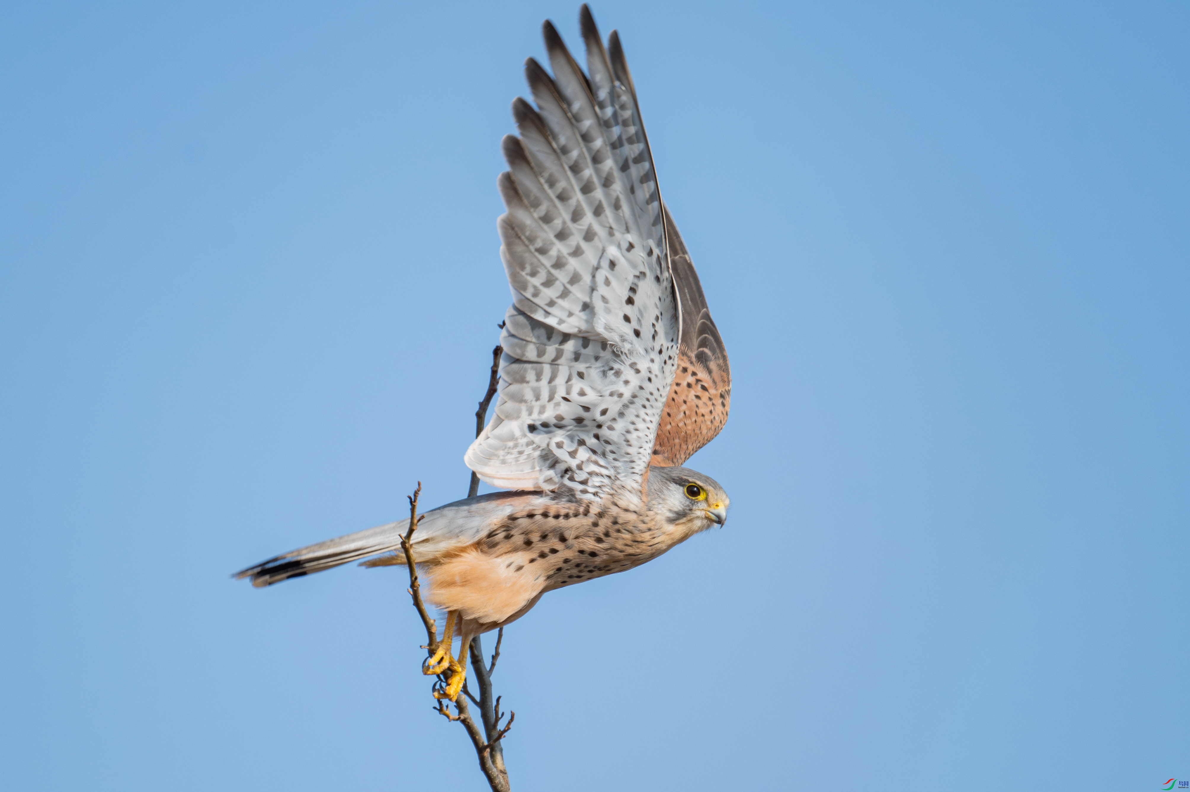����-3340.jpg