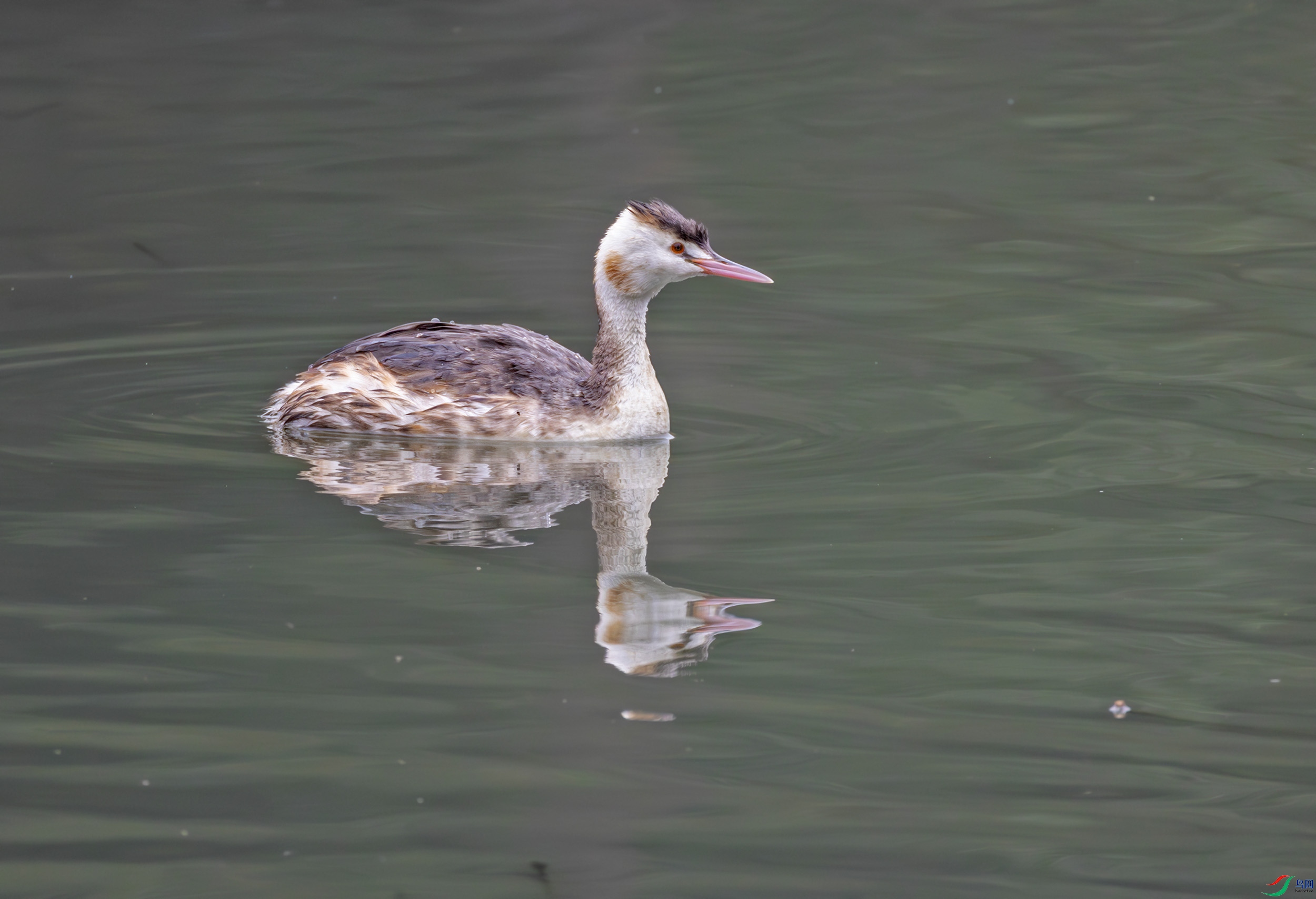 G47A6255-����ǿ-NR ����.jpg