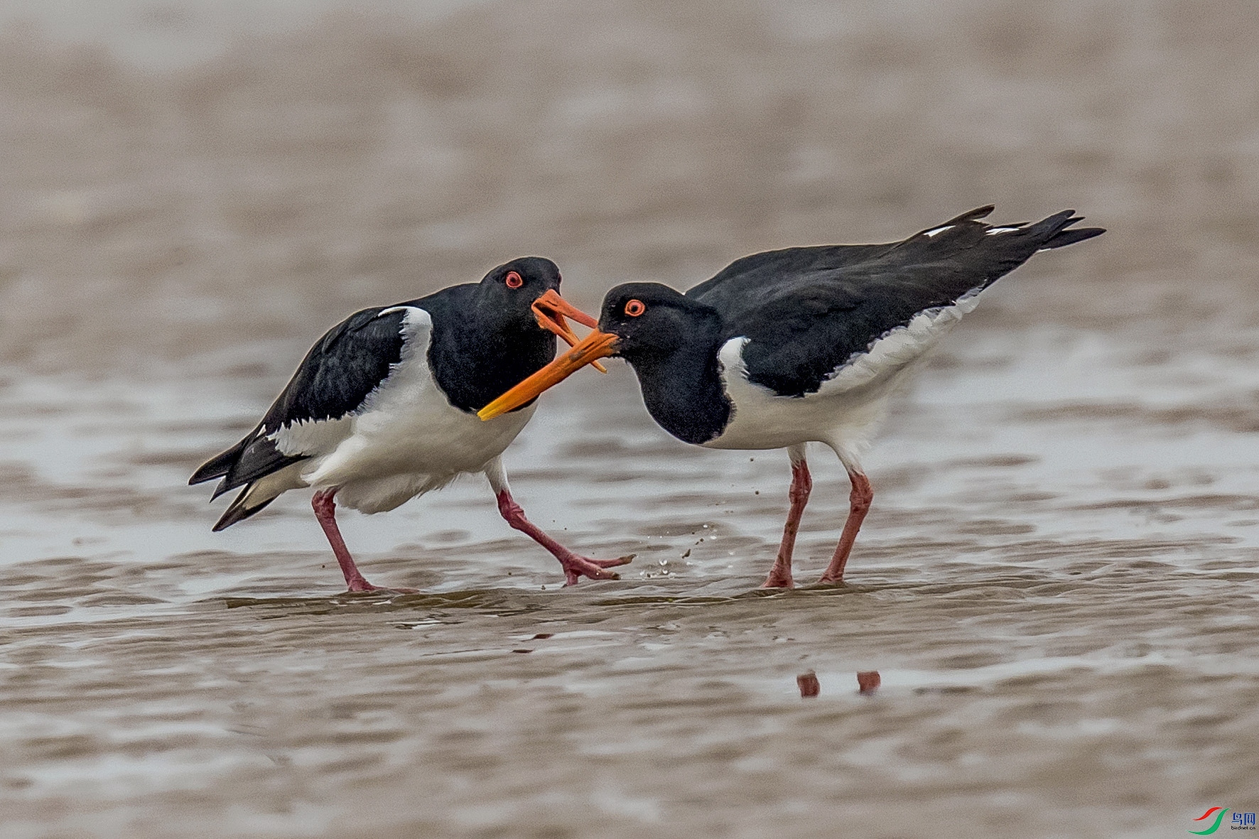 _90I1715 ���� 2.jpg