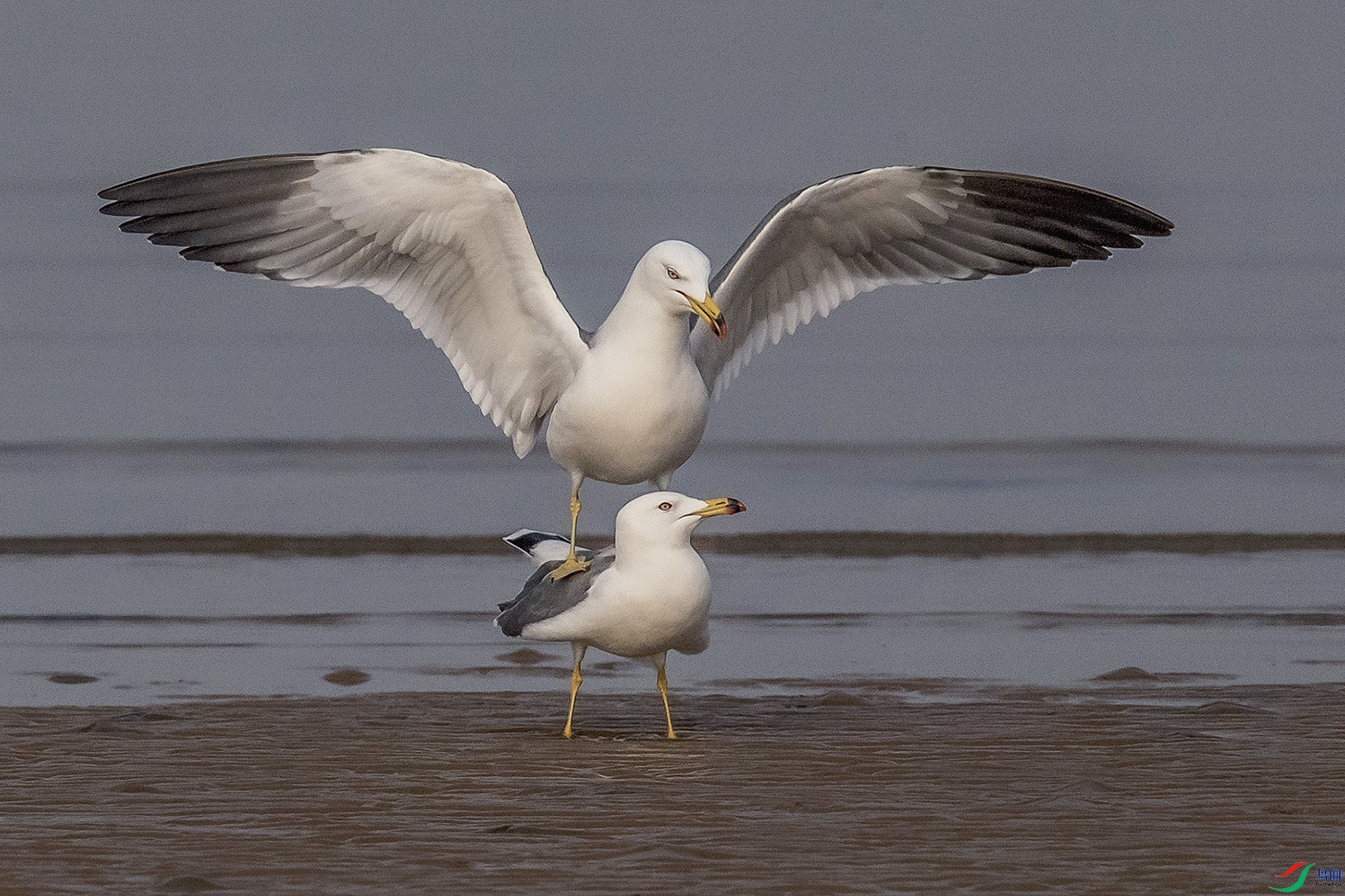 _90I8703 ���� 2.jpg