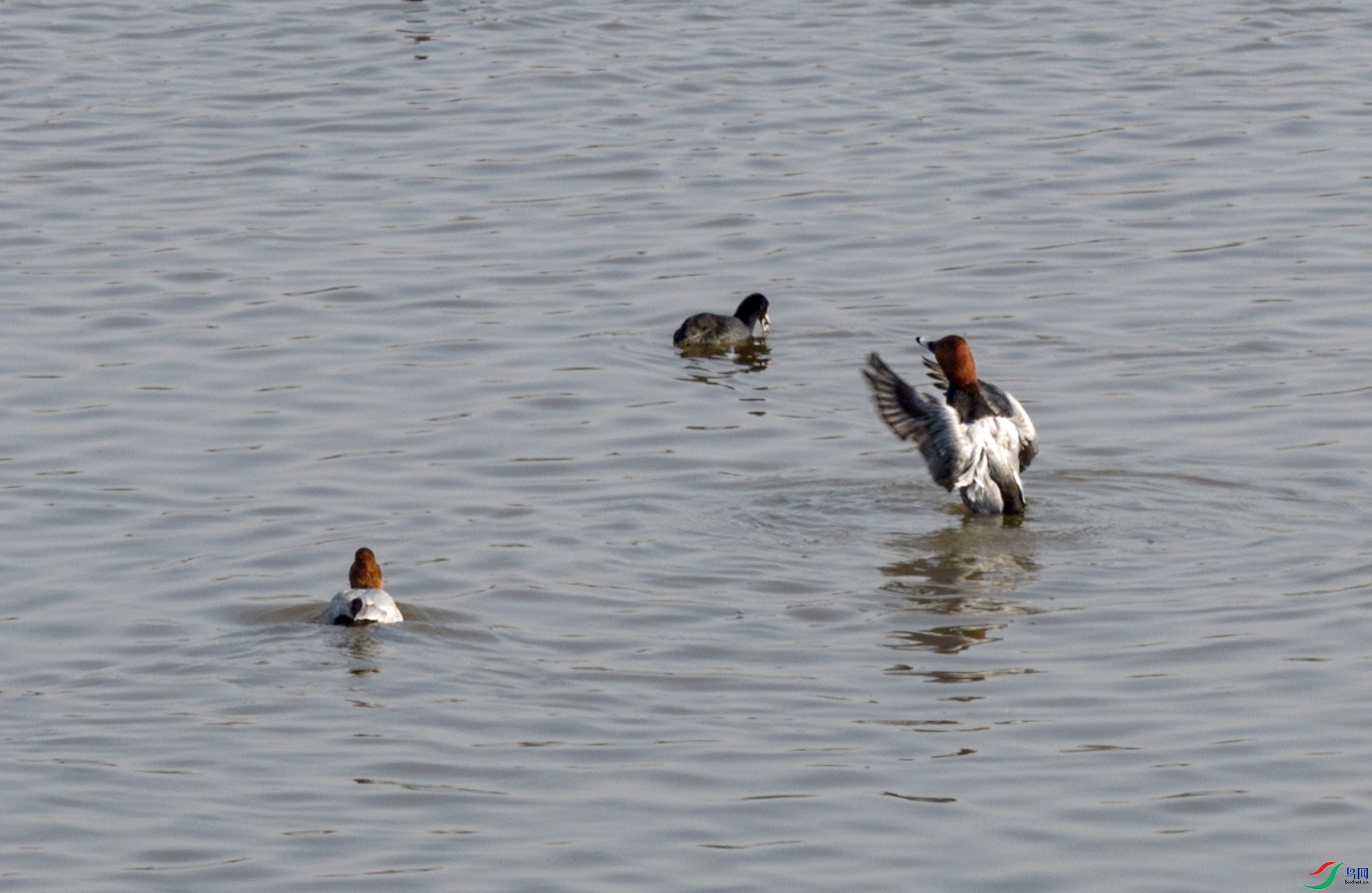 DJI_20251109140644_0004_D ����.jpg