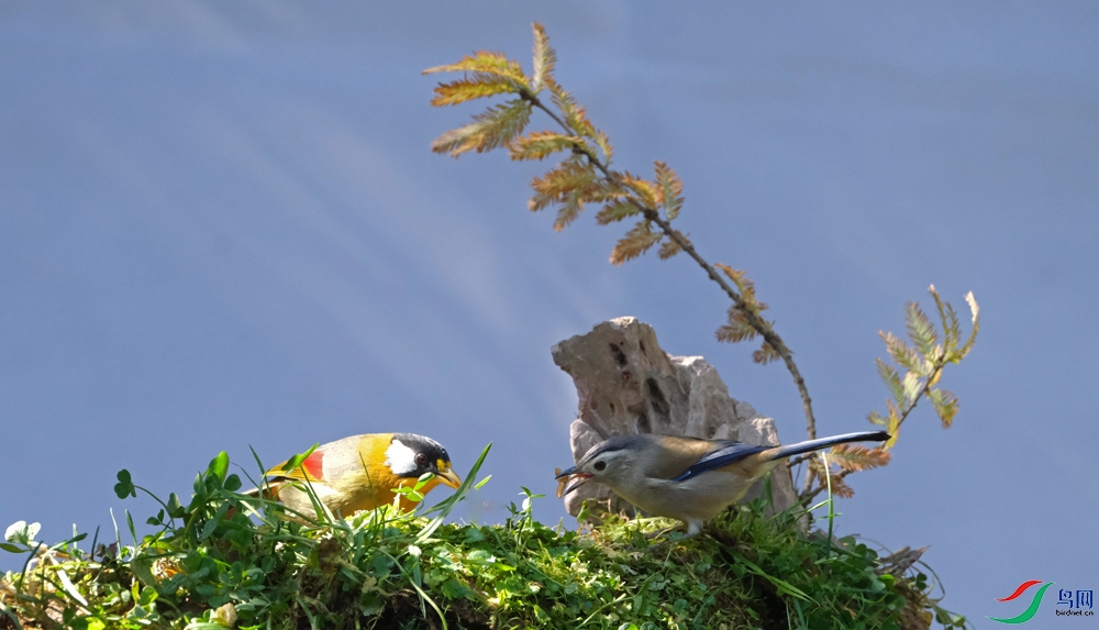 DSCF2203.1.jpg