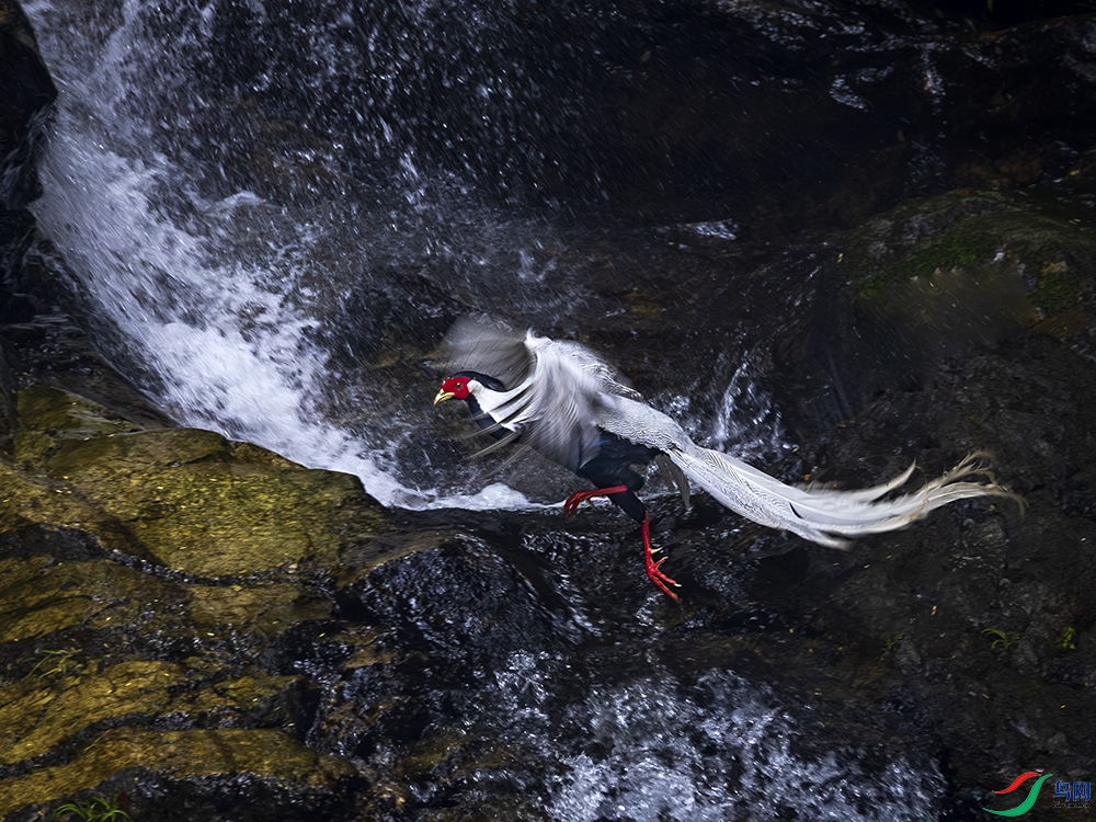 _B3A1923����-��Խɽ�� ����.jpg