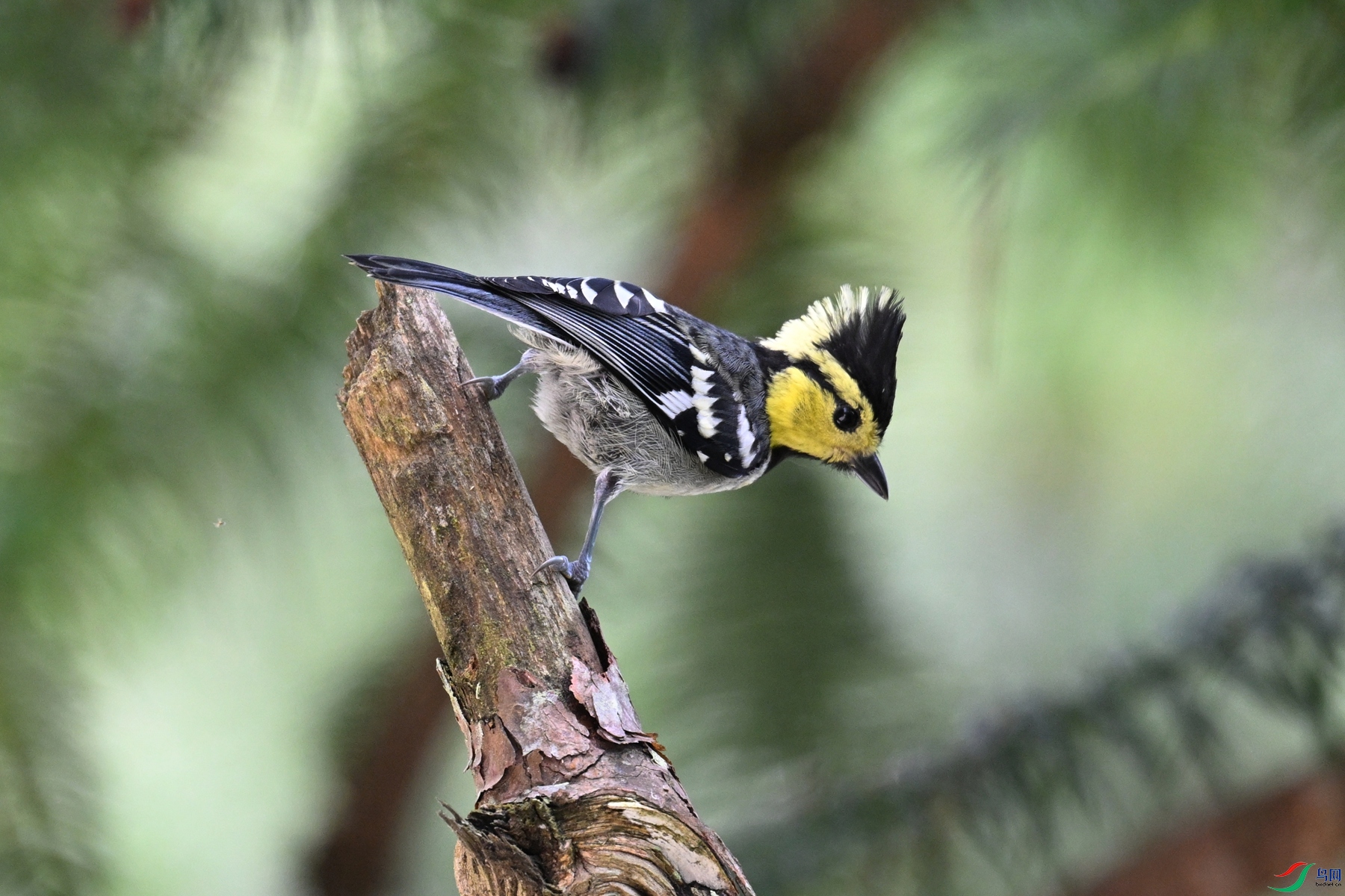 DSC_0115.JPG