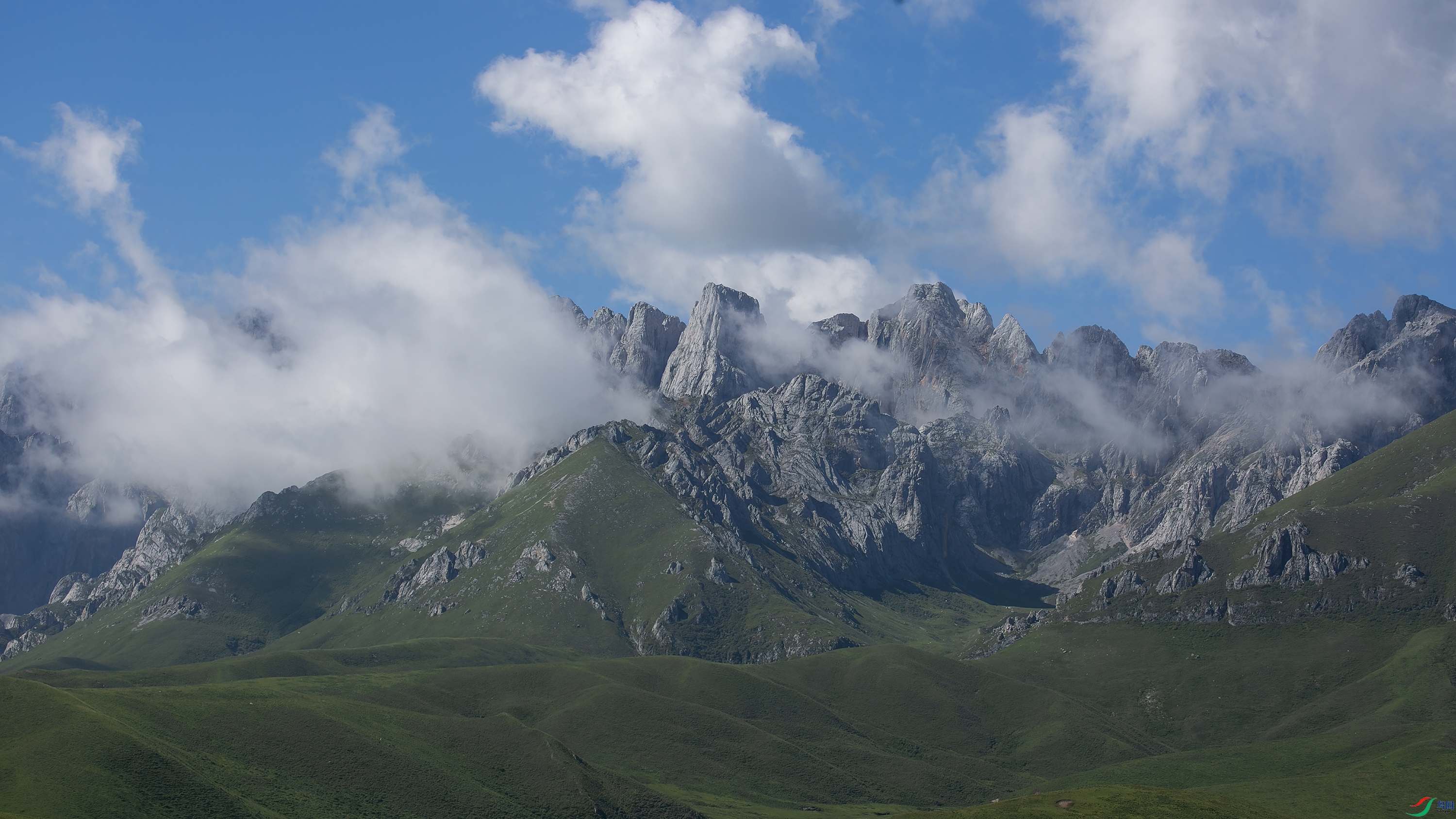 X39A5169 444.jpg