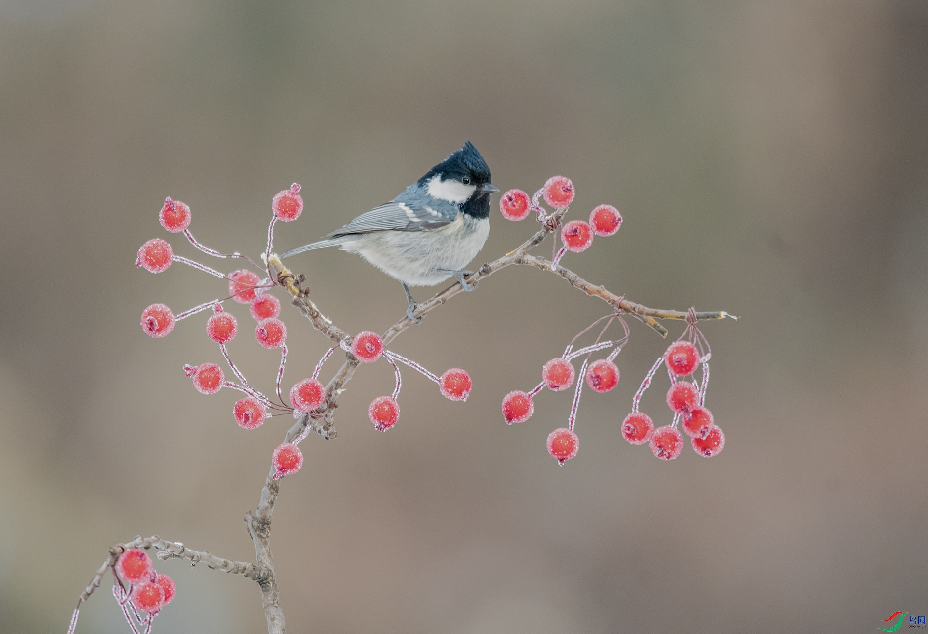 DSC_5701_��ͼ�� ����.jpg