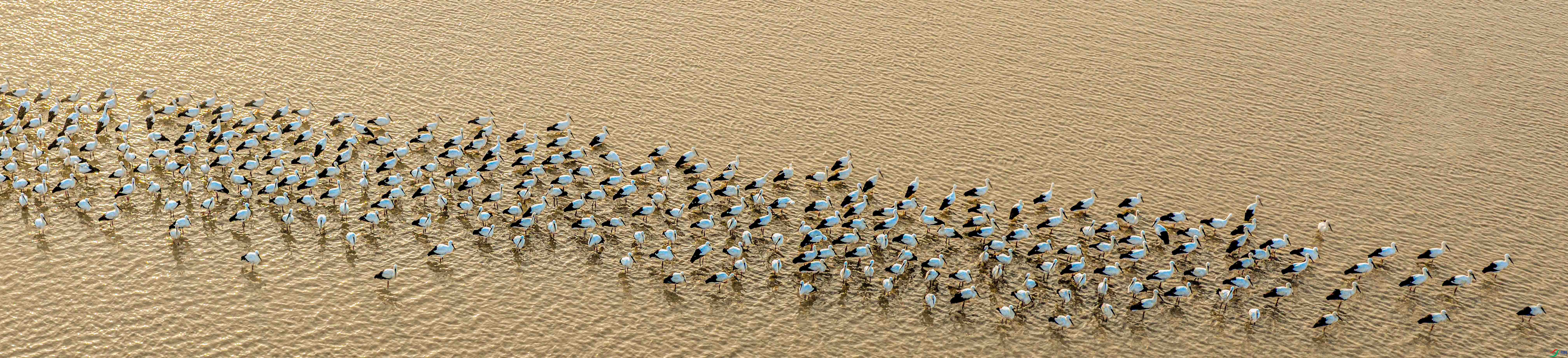 DJI_20251130075446_0546_D ����1.jpg