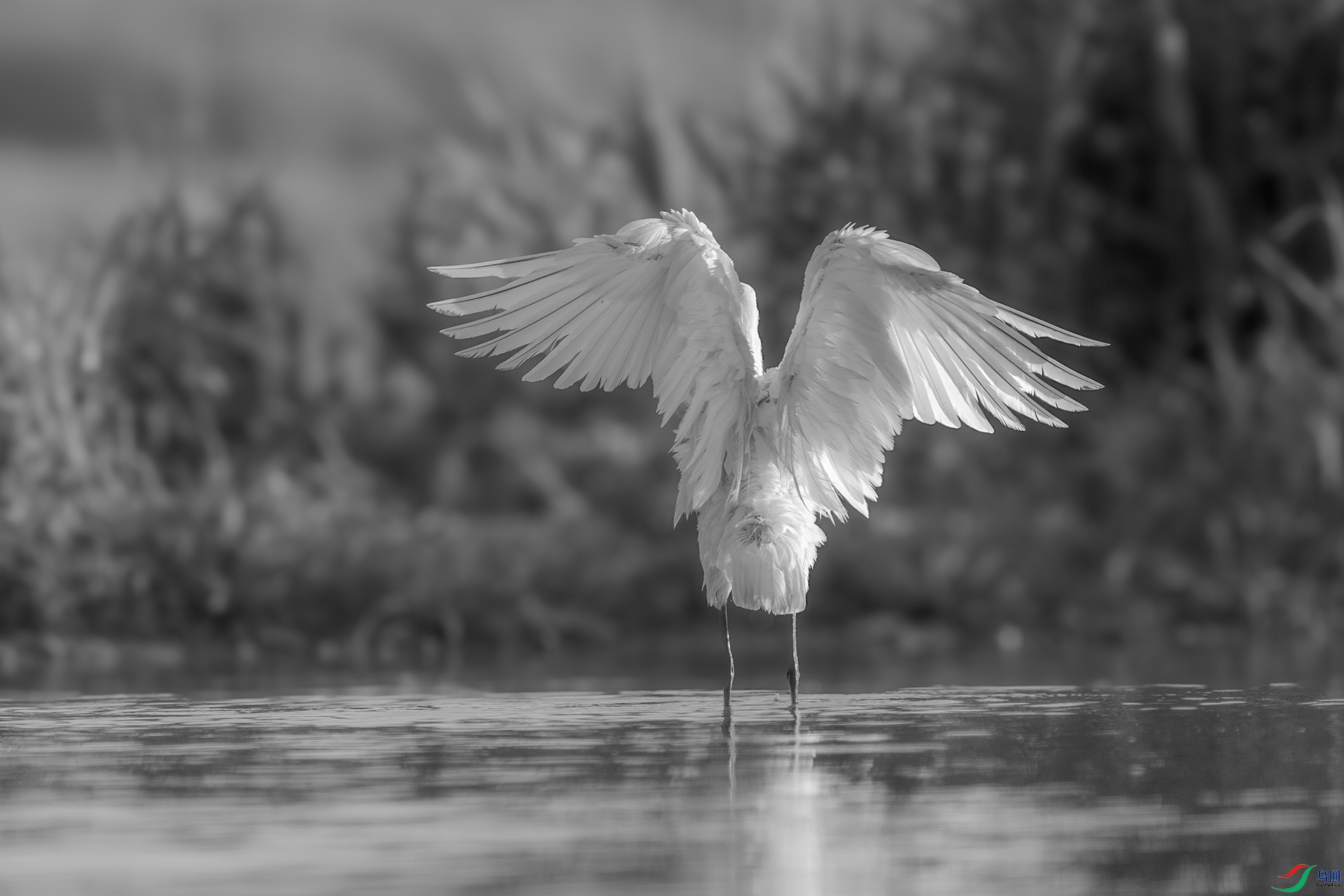 DSC01022 ����.jpg