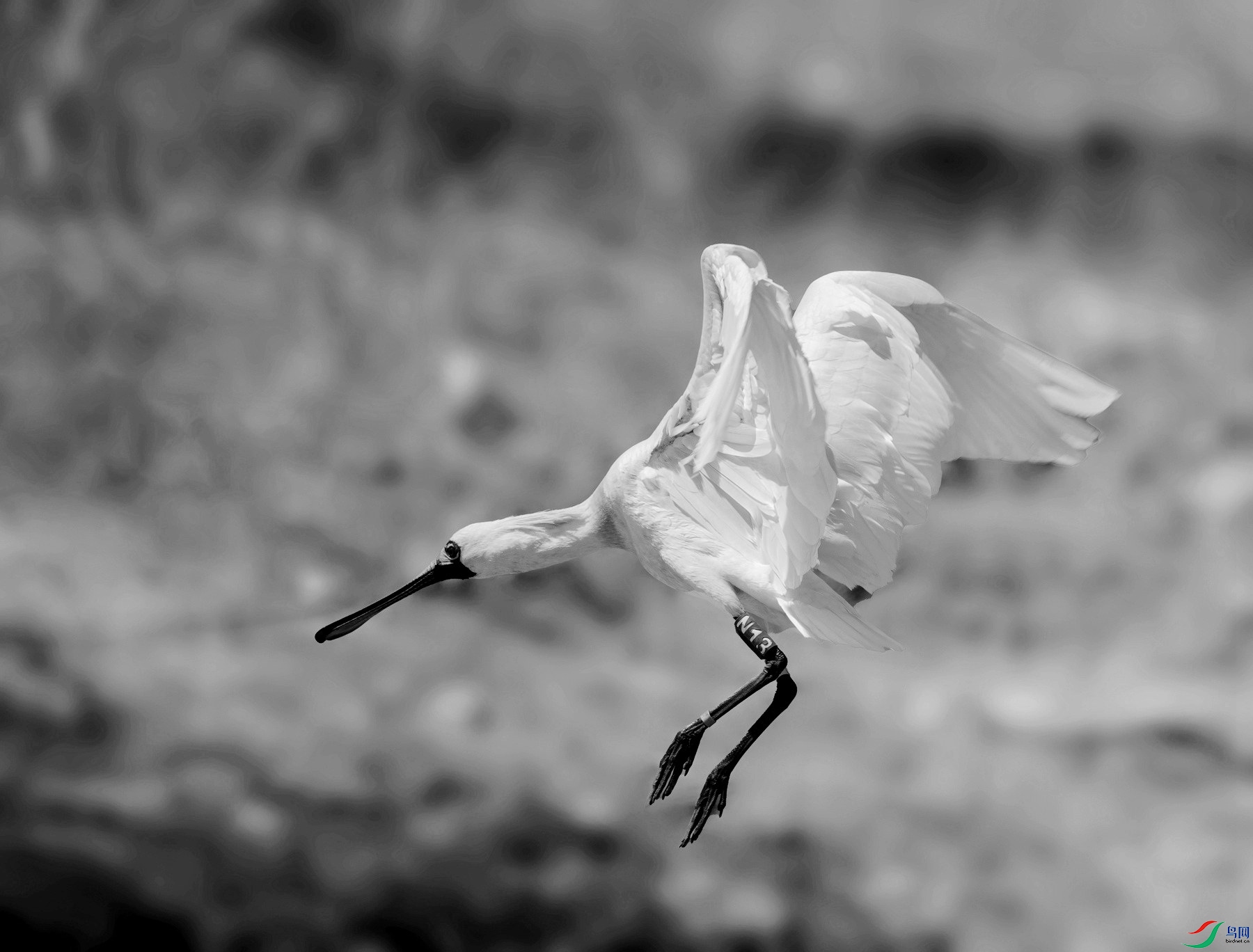 DSC04222 ����_����.jpg