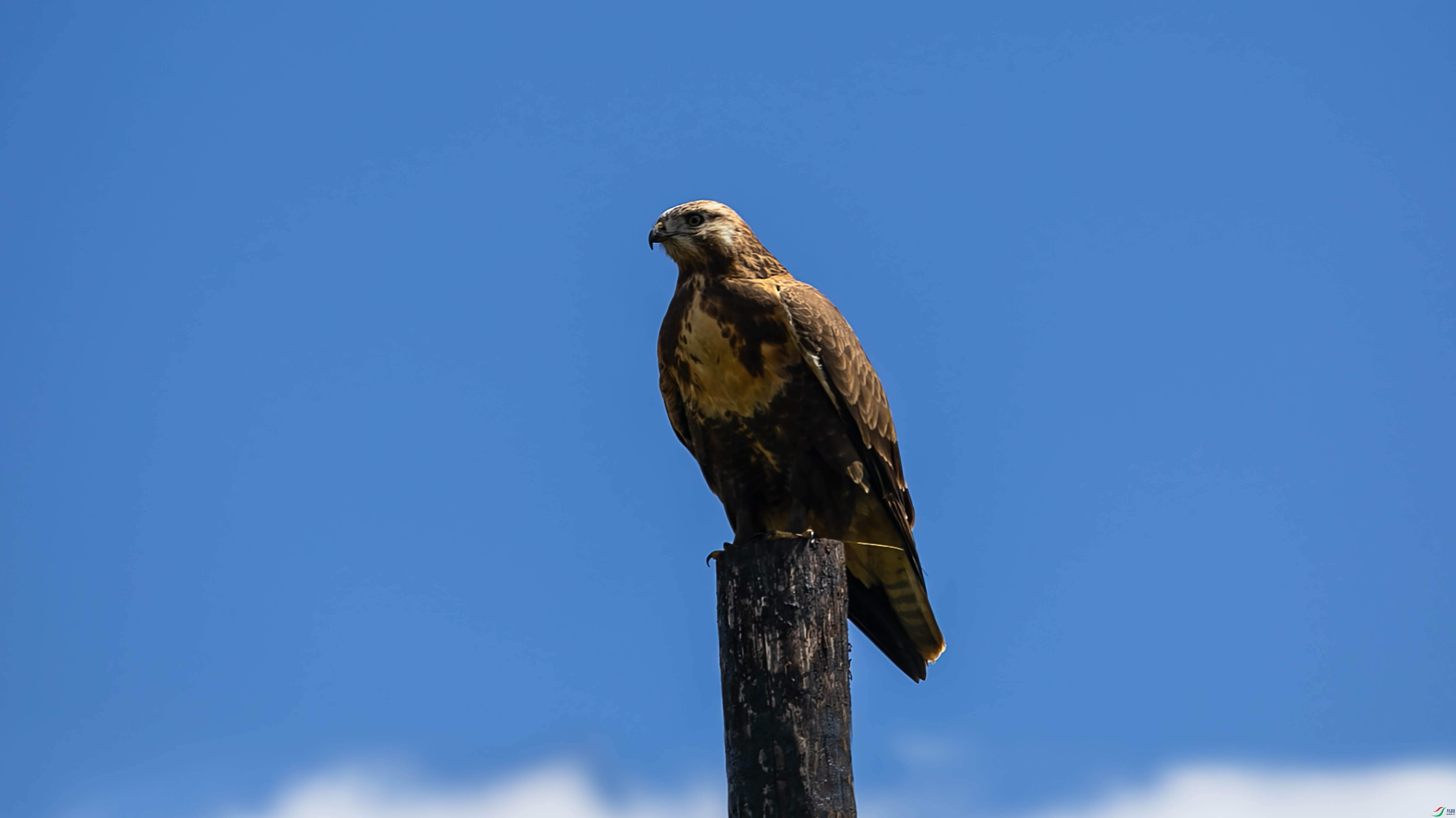 IMGS8949 ����.jpg