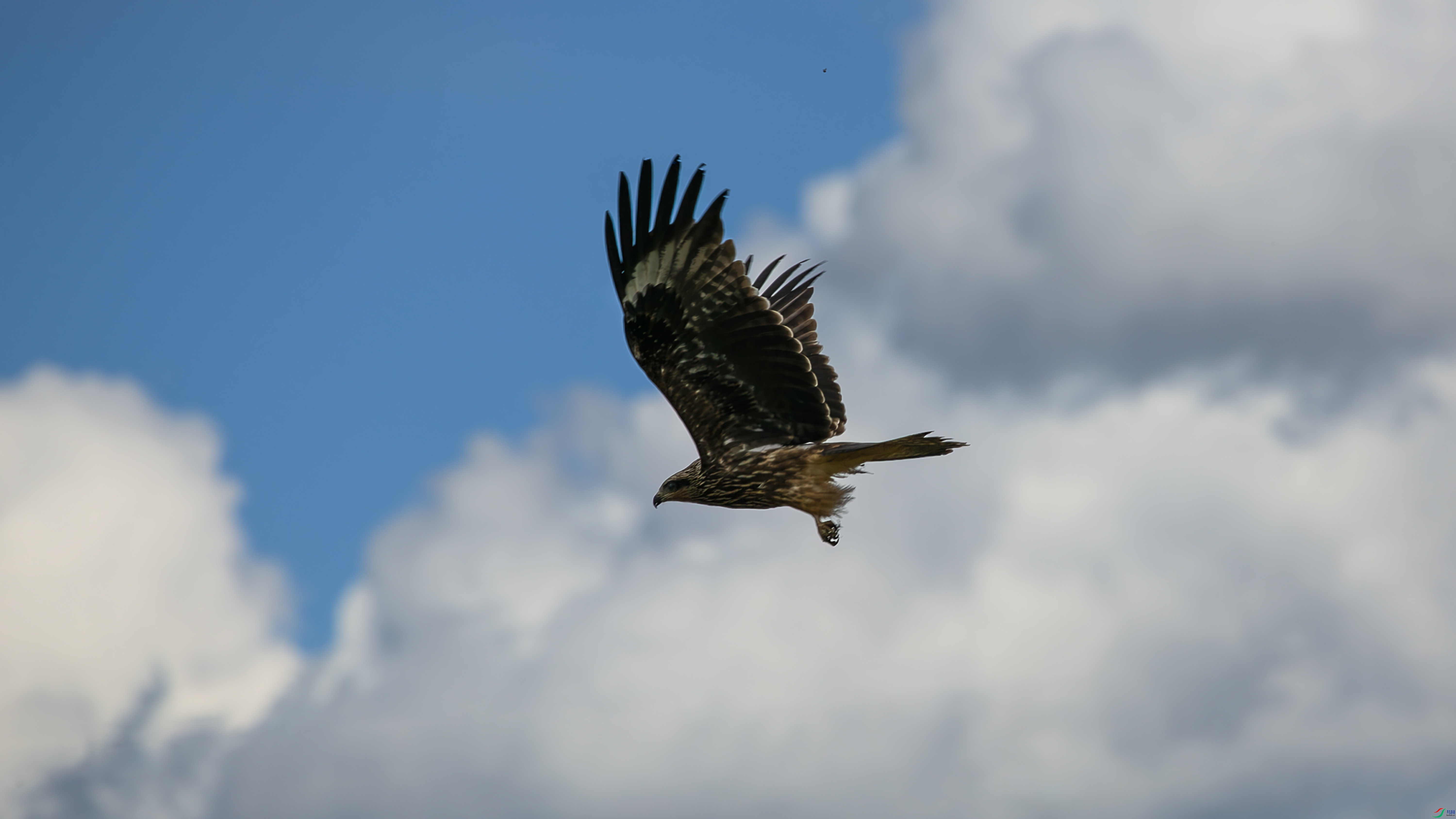 IMGS9005 ����.jpg