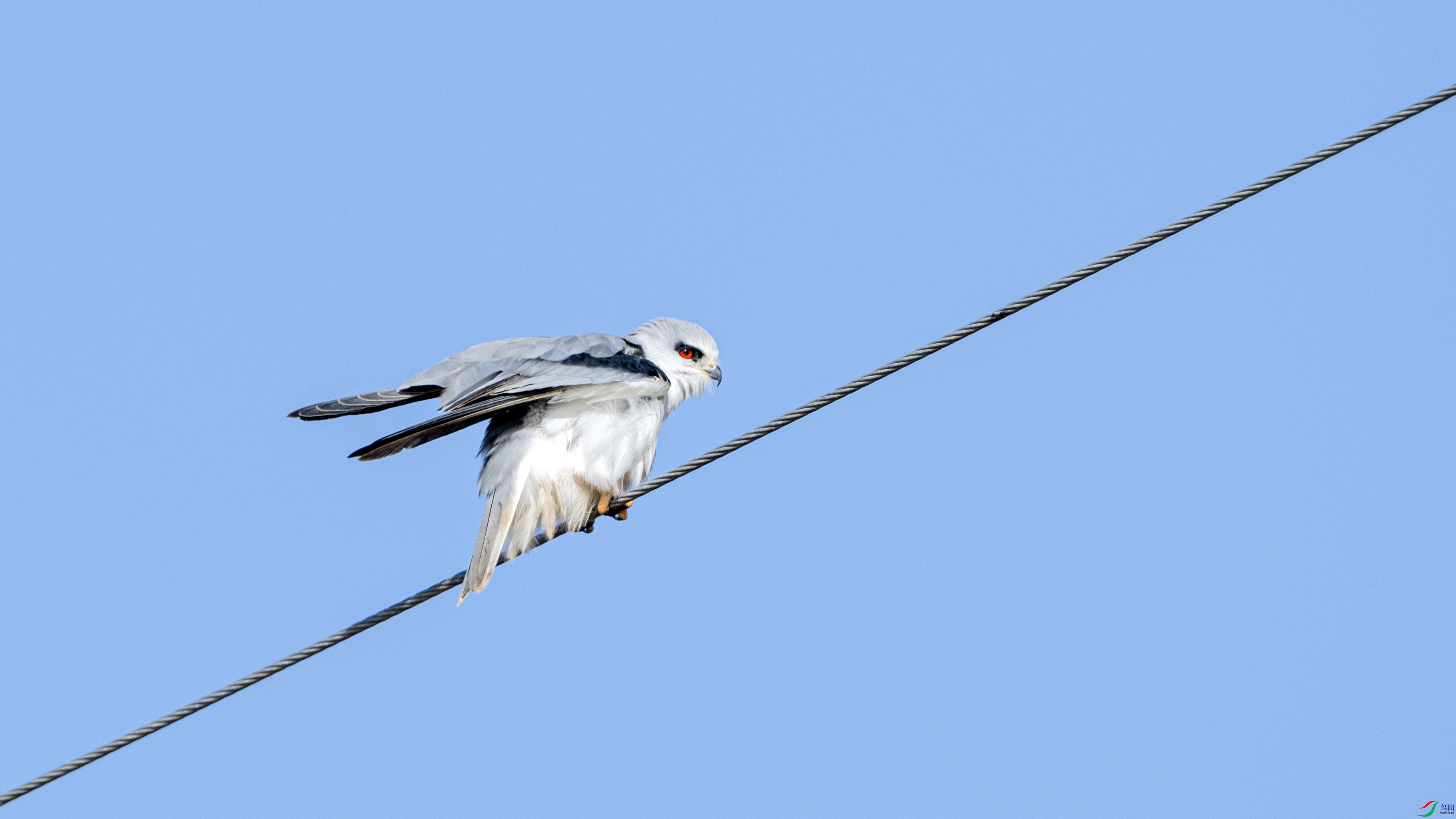 DSC_8589 ����.jpg