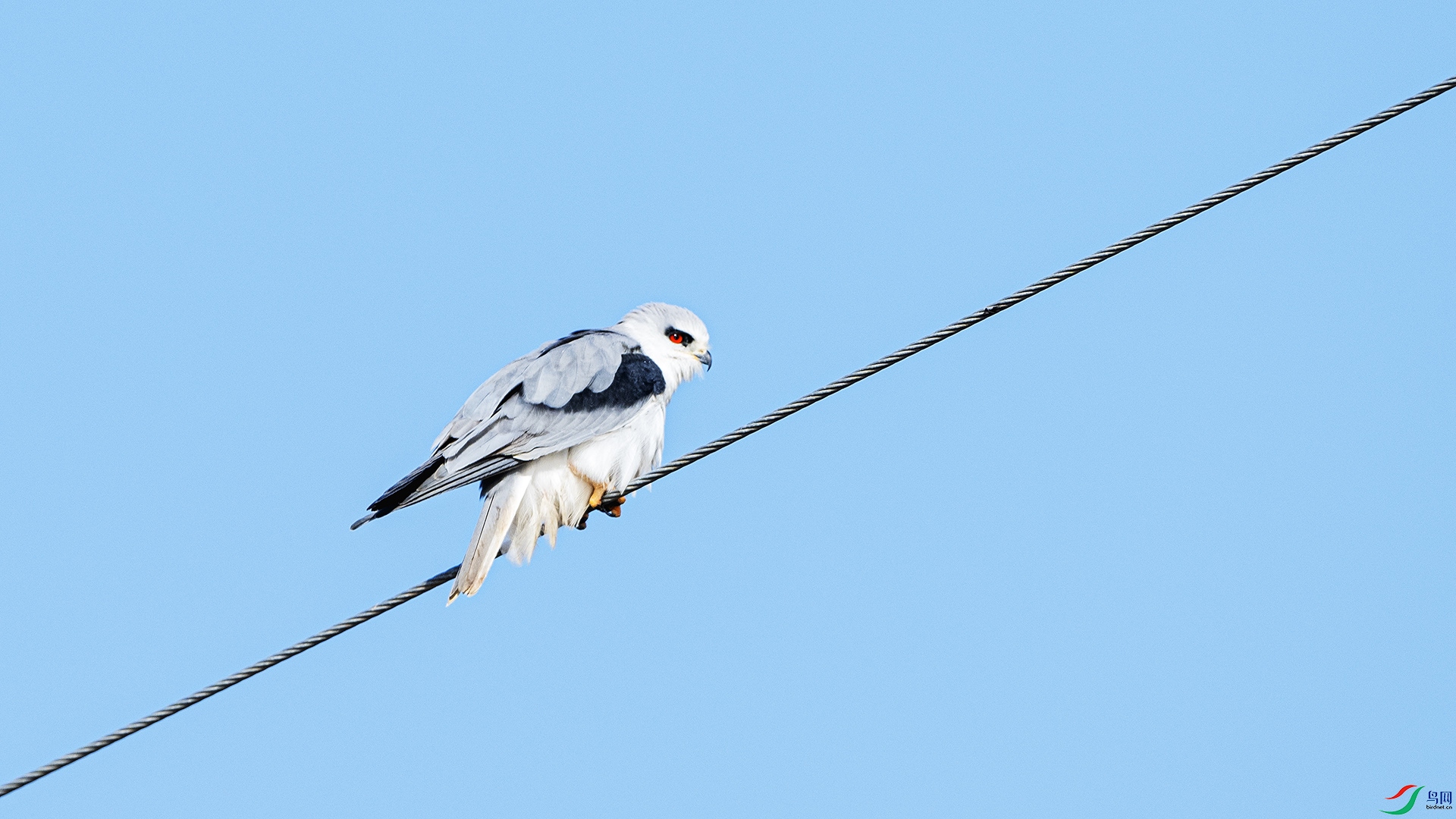 DSC_8592 ����.jpg