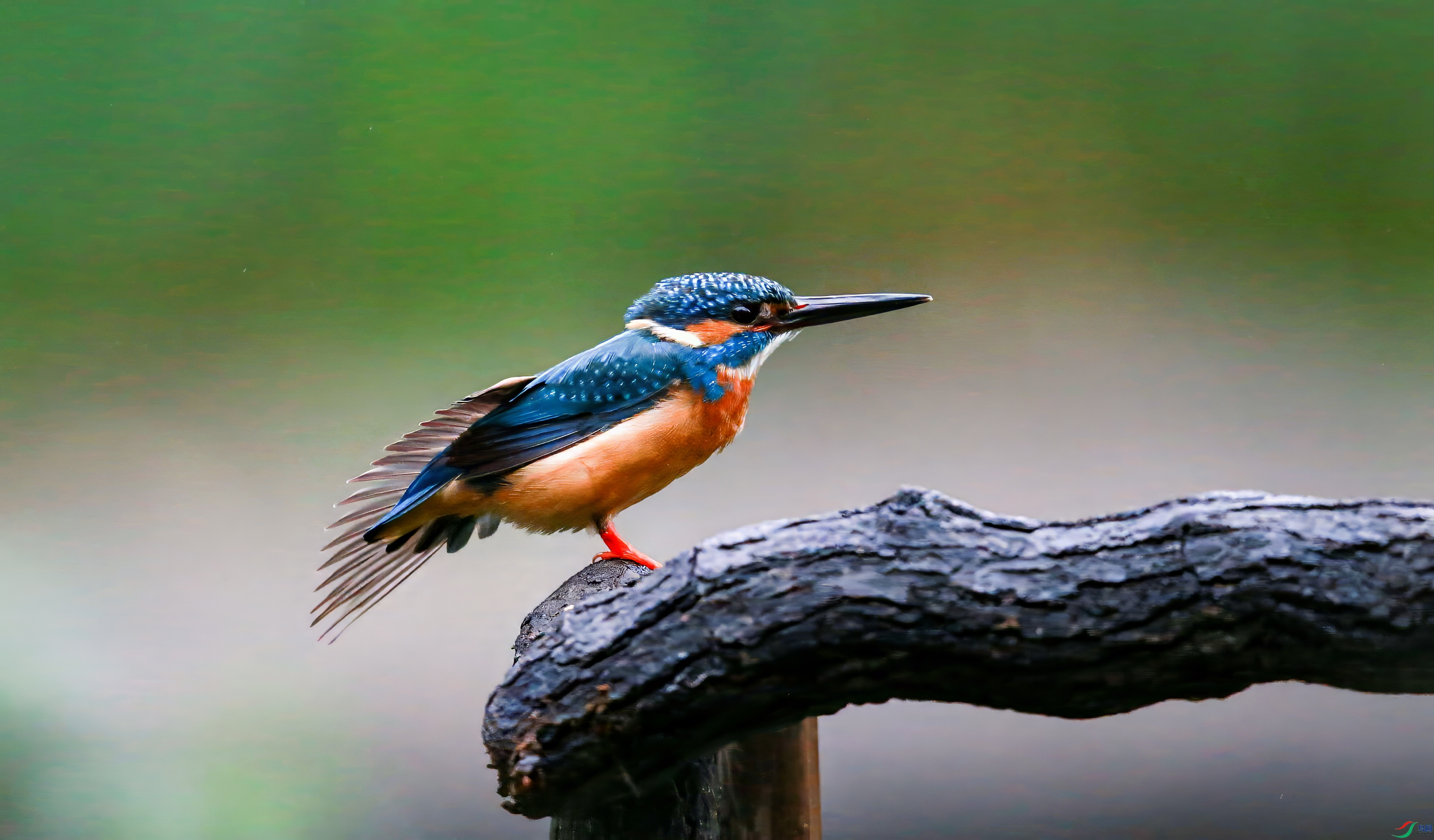 AY8Q0137_����.jpg