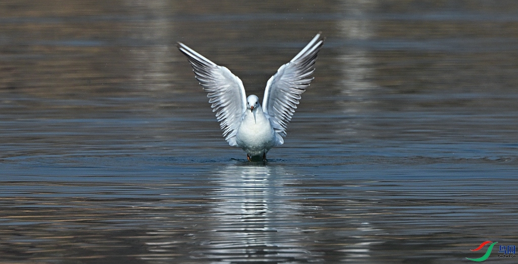 DSC_1534.JPG