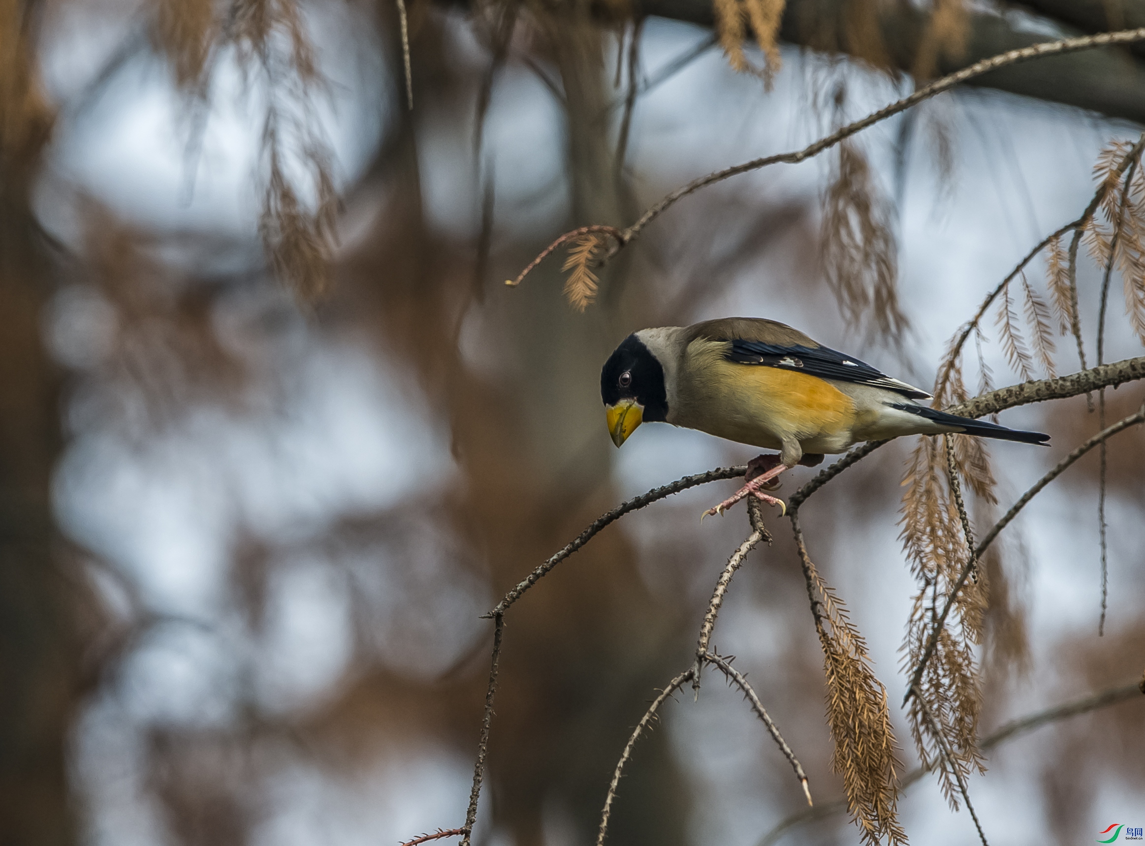 DSC_8502.jpg
