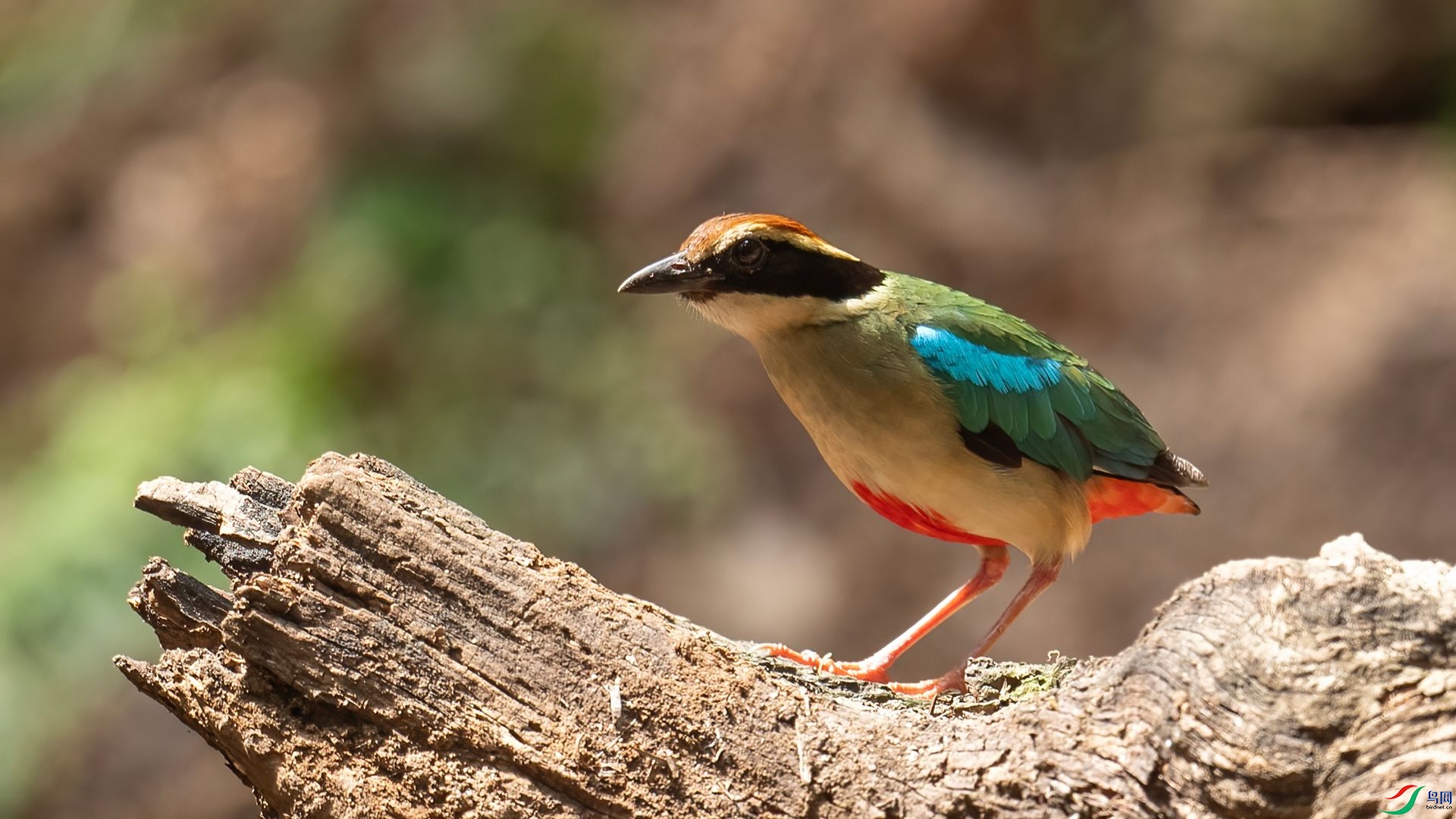 _DSC6908 ����.jpg