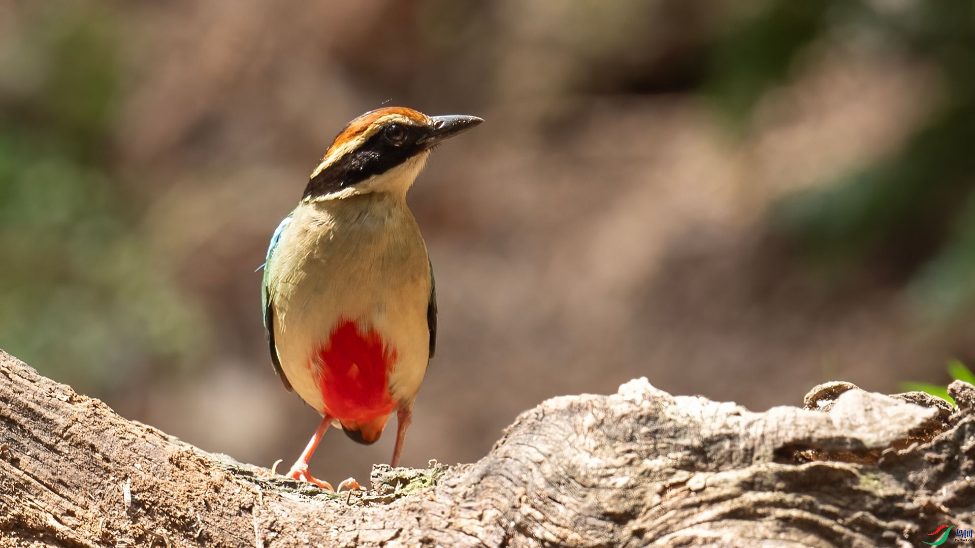 _DSC6964 ����.jpg