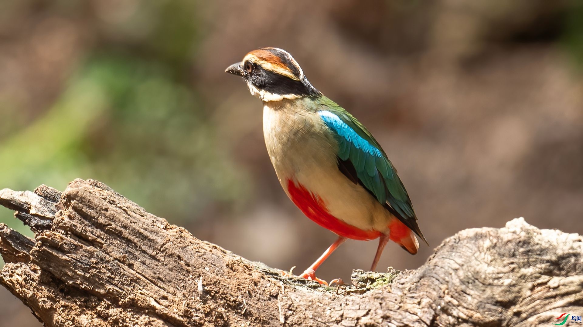 _DSC7002 ����.jpg