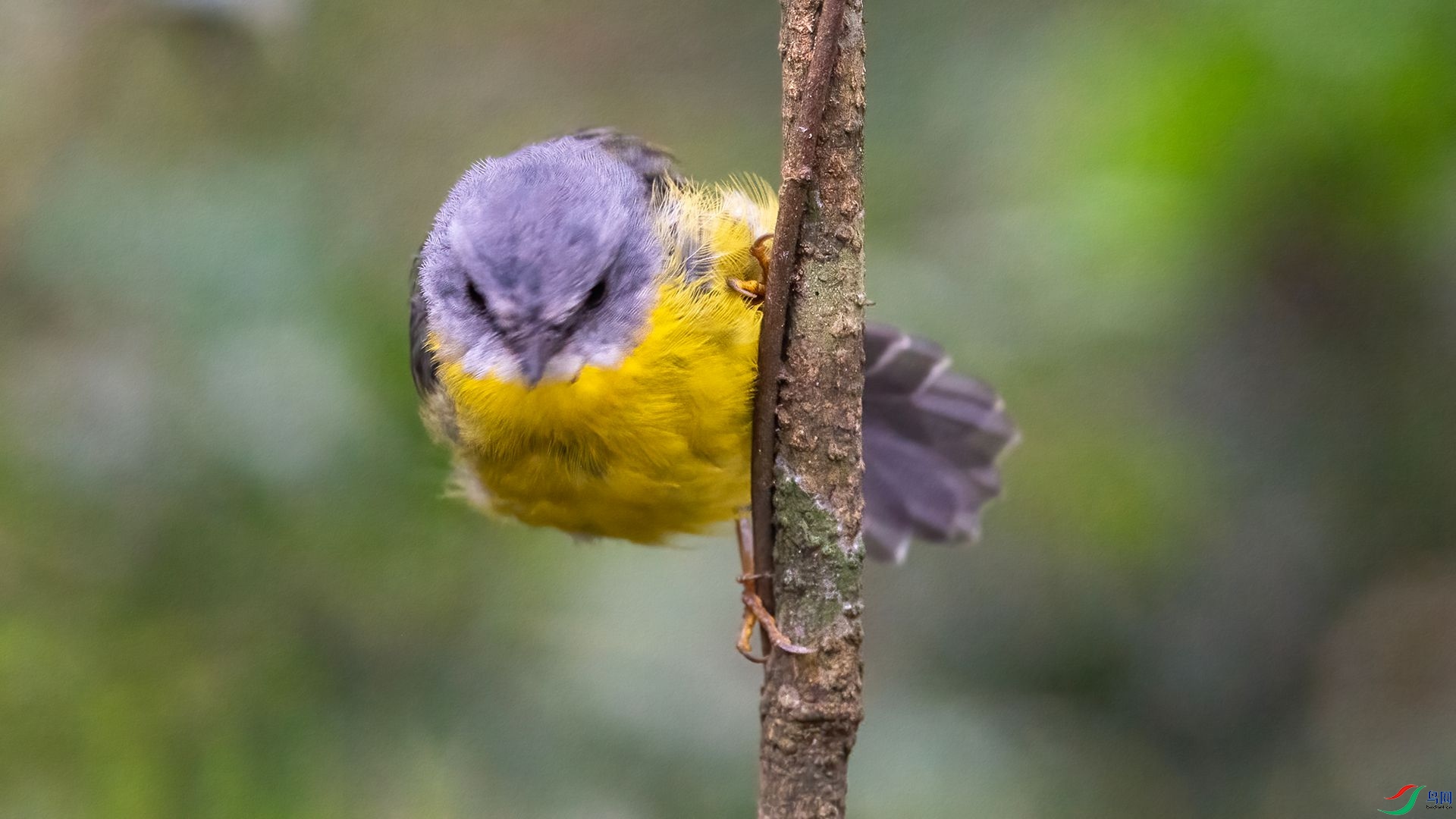 _DSC7005 ���� 2.jpg