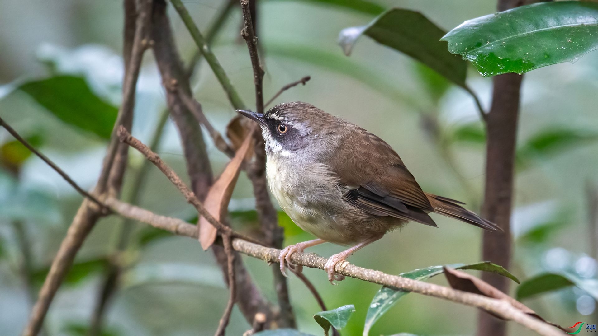 _DSC7046 ���� 2.jpg