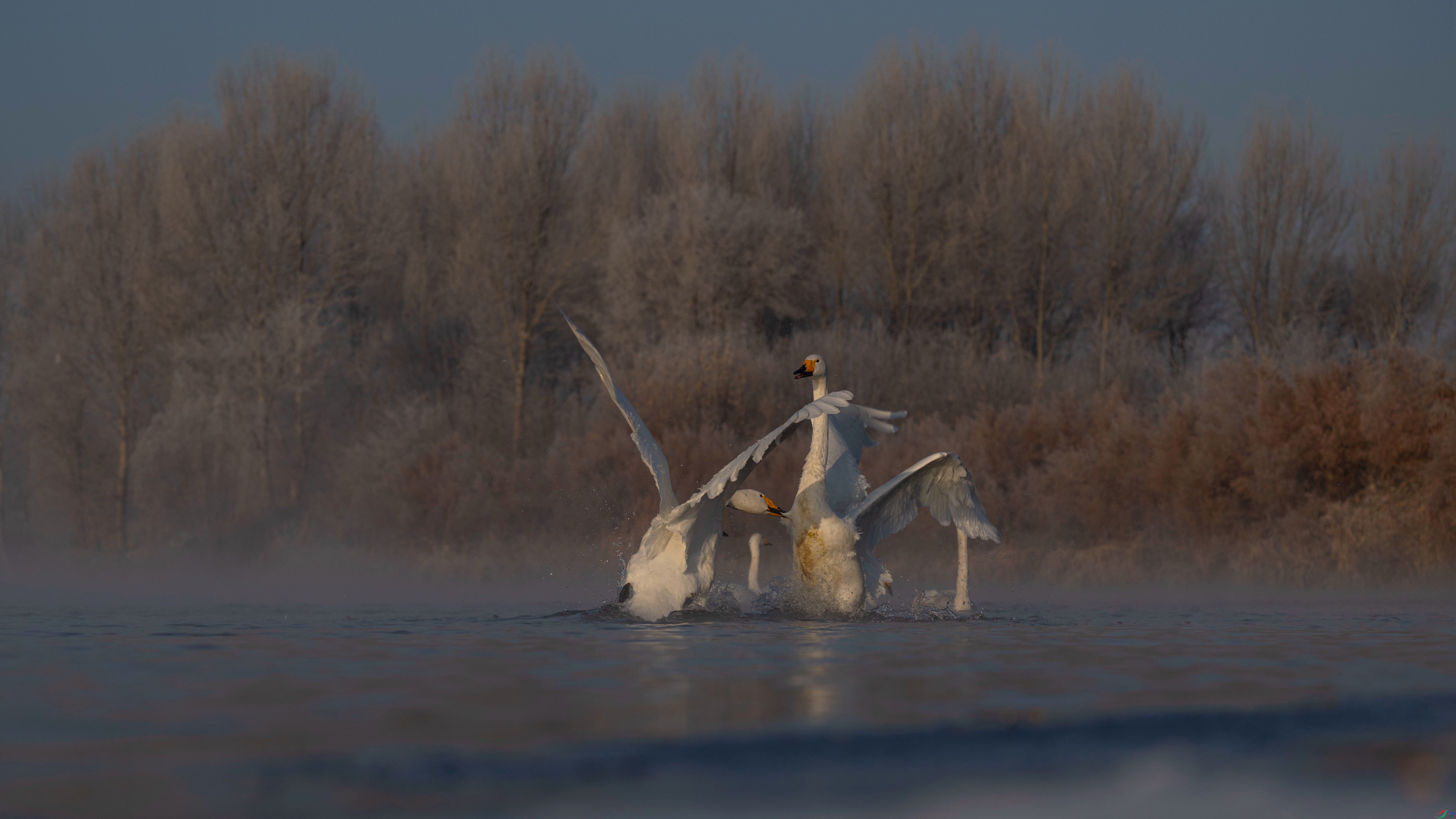 DSC_0700_����.jpg