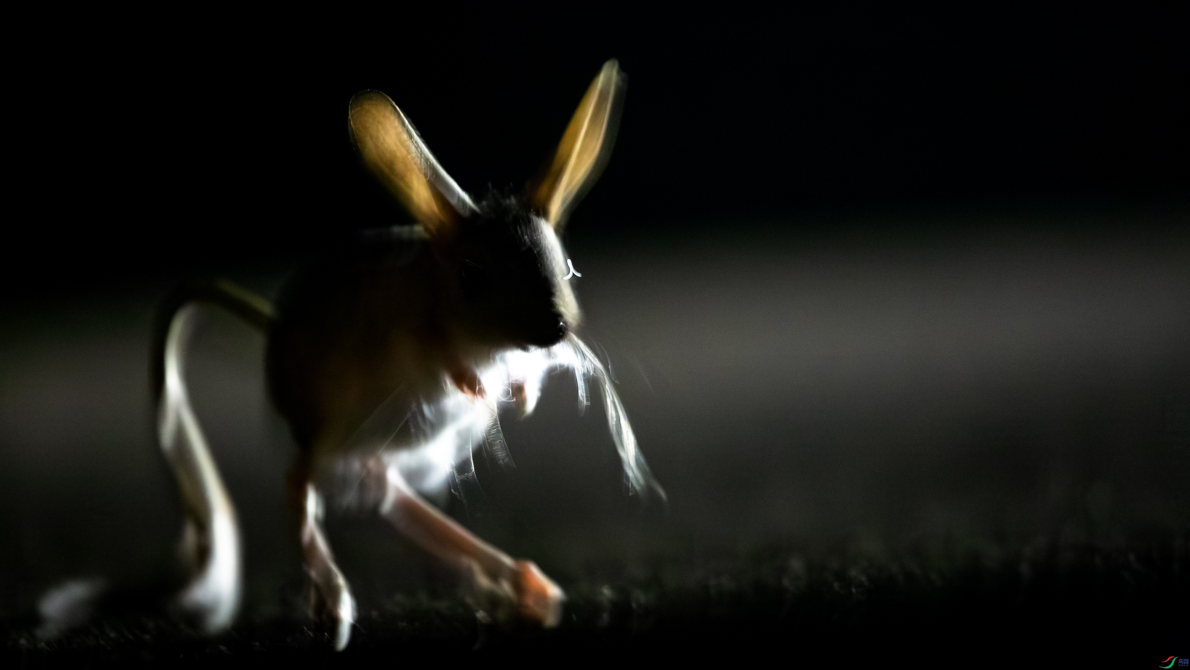 X39A0799 ����.jpg