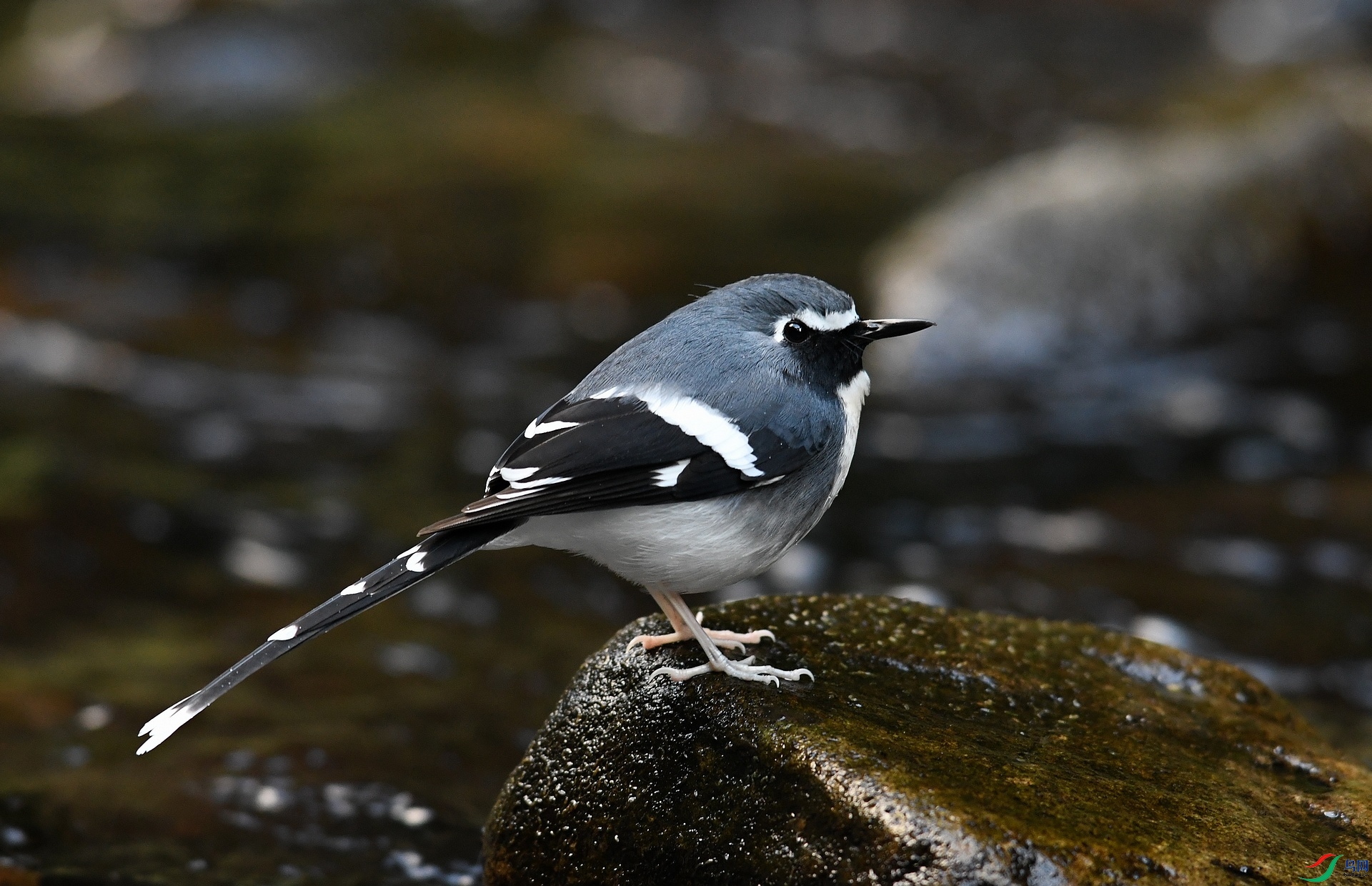 DSC_1506.jpg