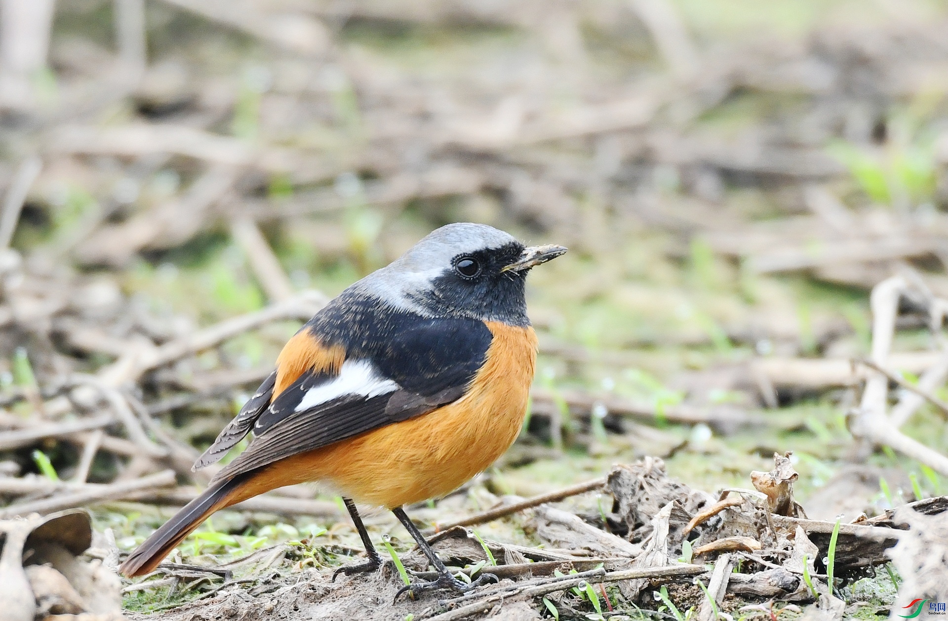 DSC_7878.jpg