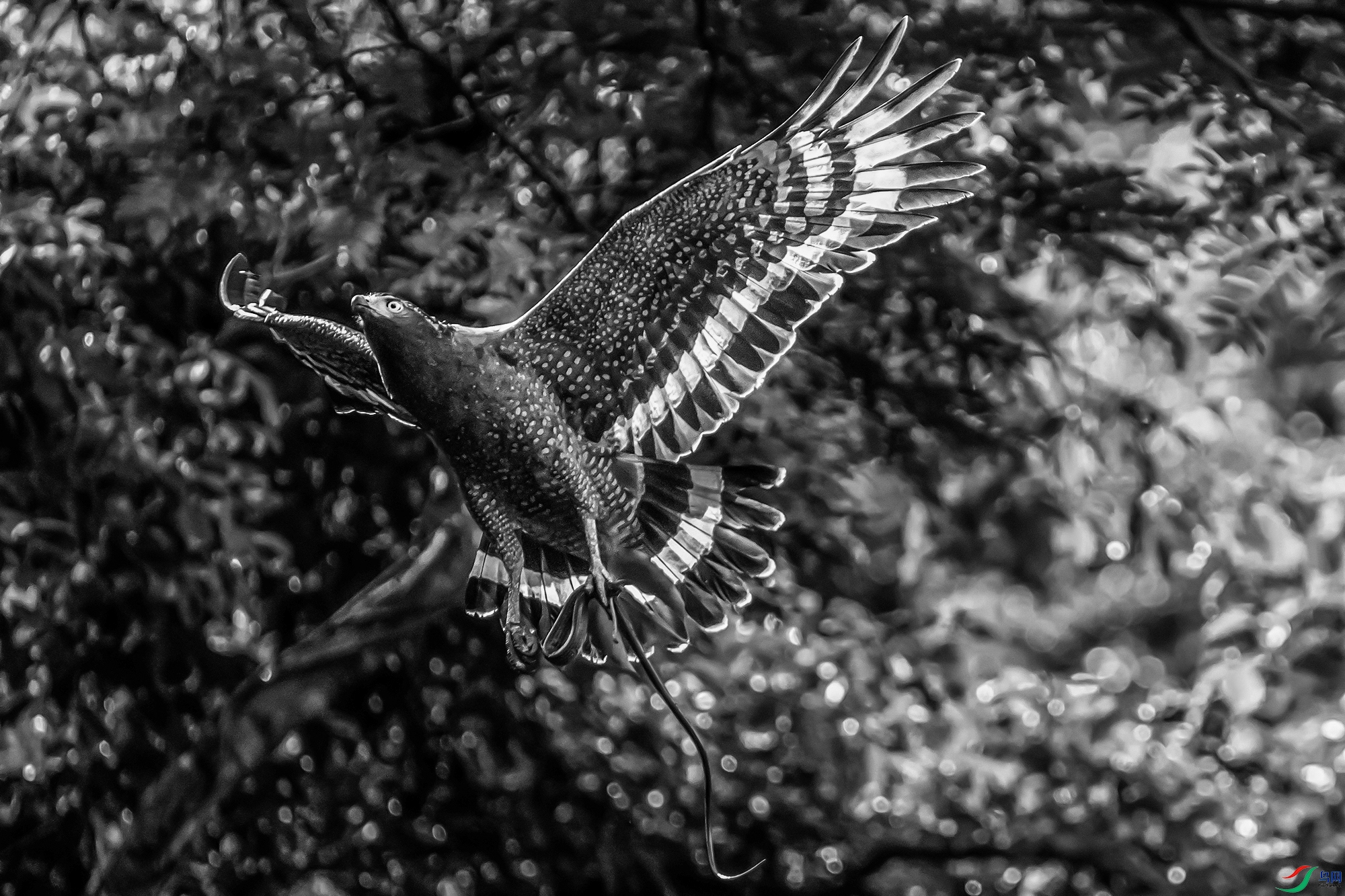 DSC06806 ����a ����222-1.jpg